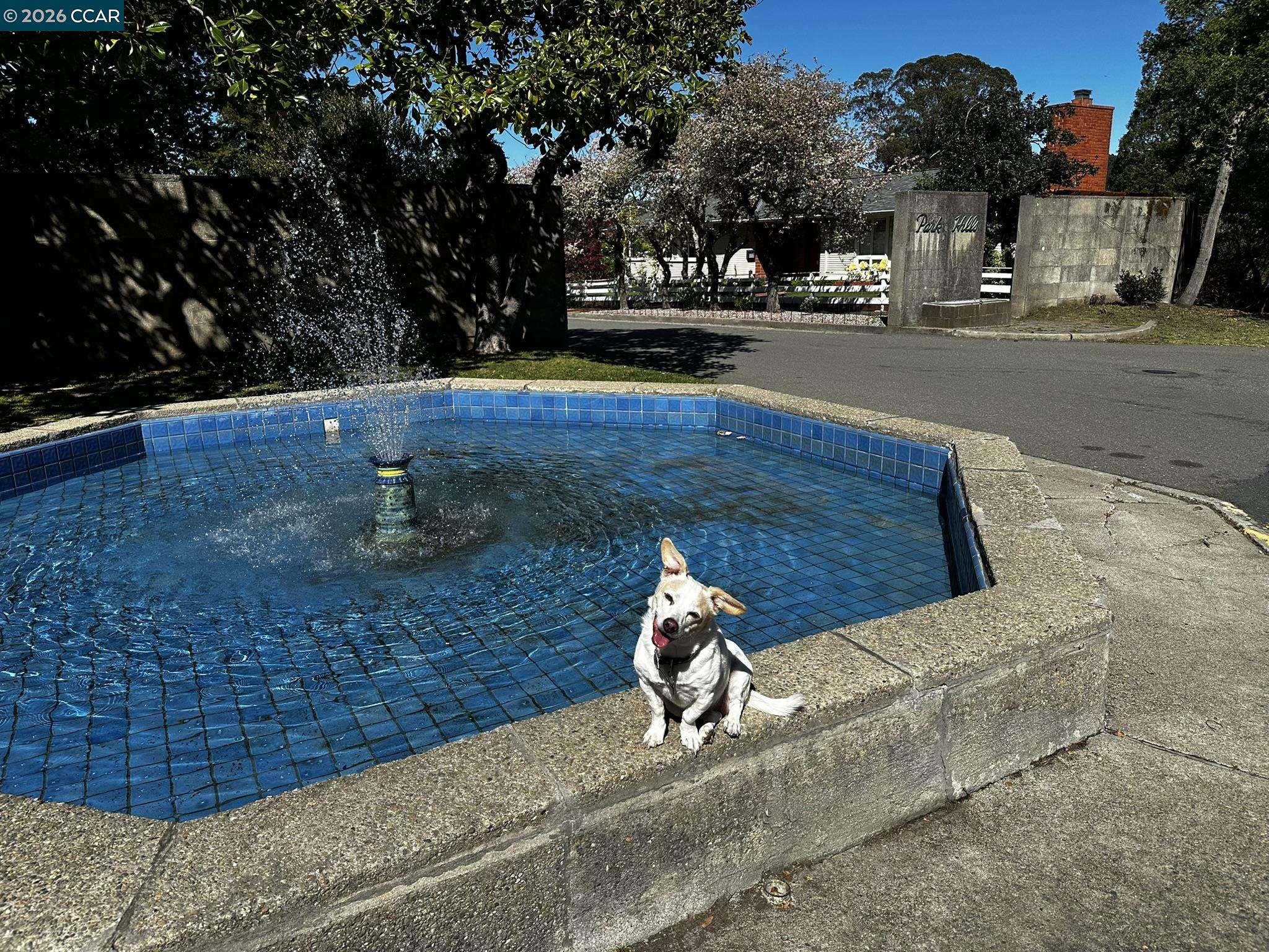 Detail Gallery Image 36 of 37 For 1040 Park Hills Rd, Berkeley,  CA 94708 - 4 Beds | 3 Baths