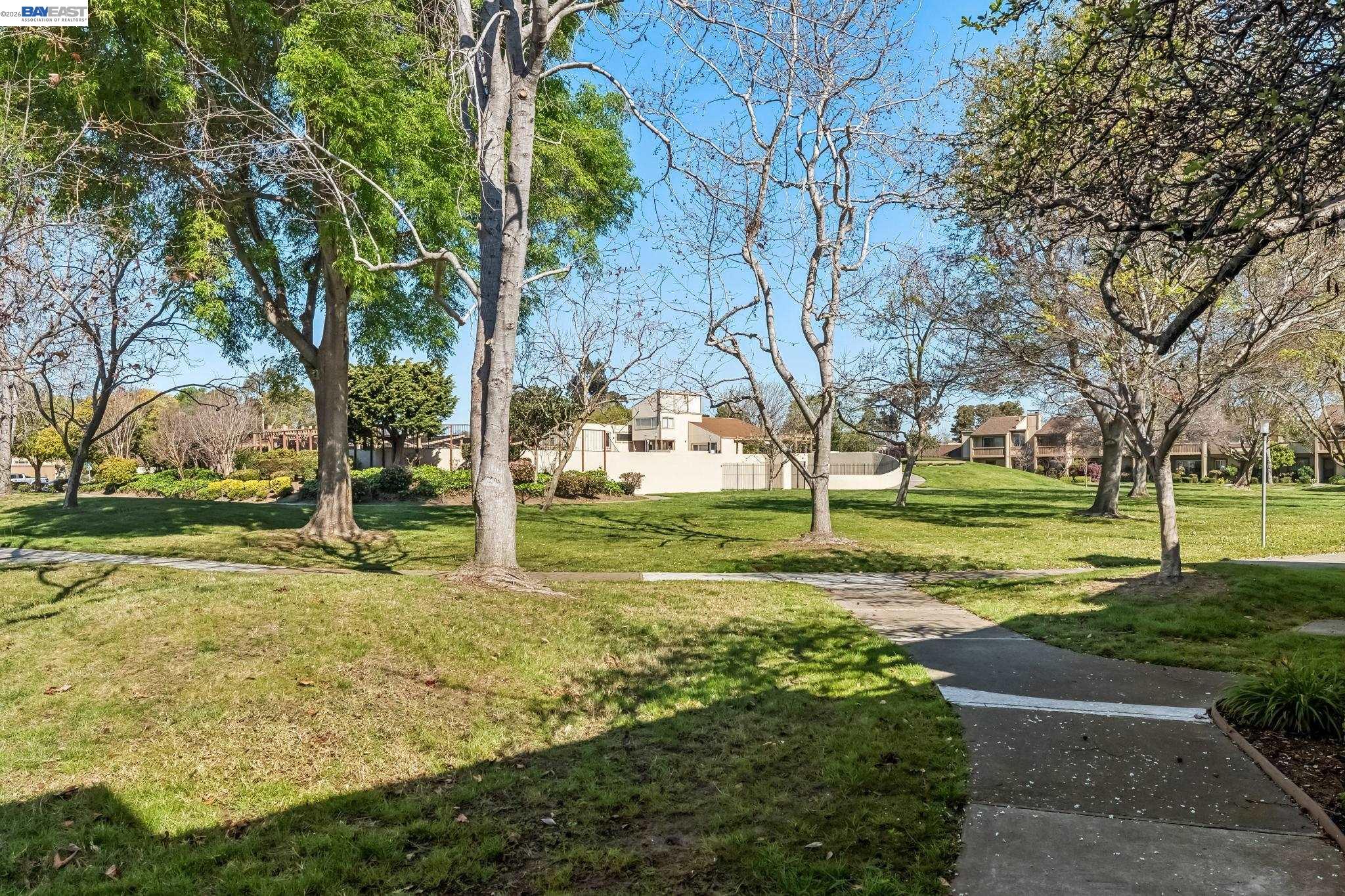 Photo #4: 41127312 Listing: Photo #4