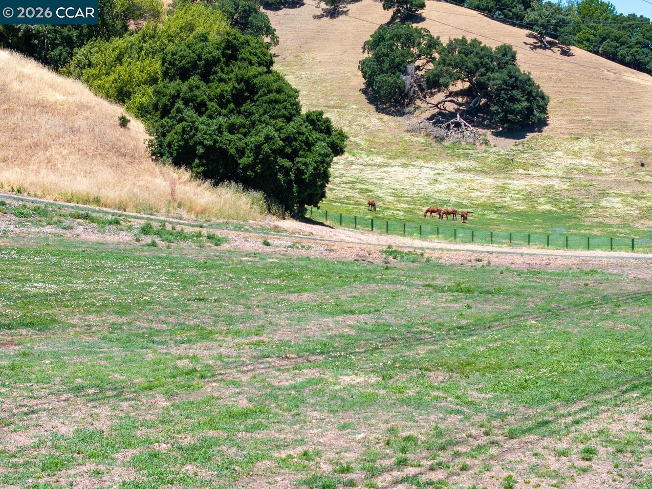 Detail Gallery Image 33 of 39 For 60 Hampton, Martinez,  CA 94553 - – Beds | – Baths