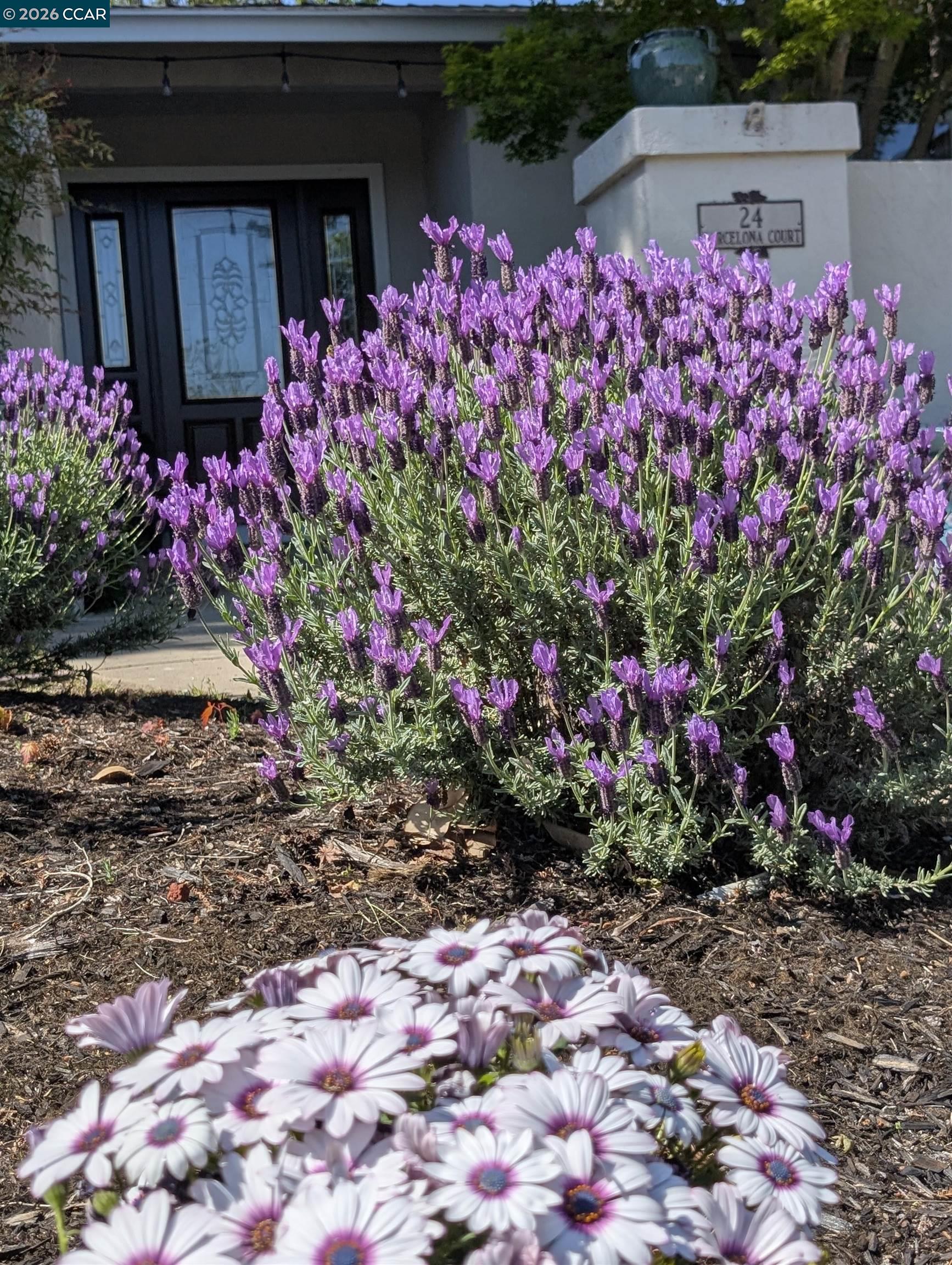 Detail Gallery Image 23 of 23 For 24 Barcelona Ct, Danville,  CA 94526 - 3 Beds | 2 Baths