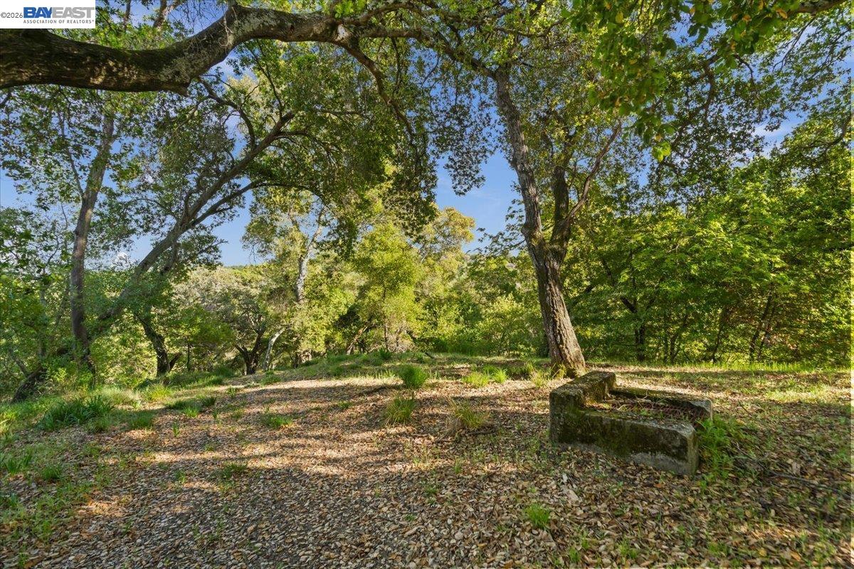 Detail Gallery Image 17 of 36 For 0 Silverwood Dr, Lafayette,  CA 94549 - – Beds | – Baths