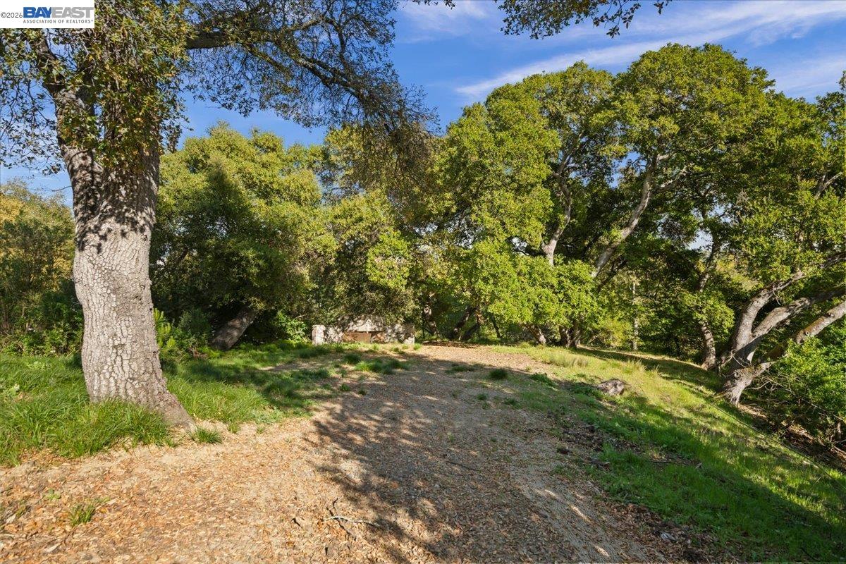 Detail Gallery Image 19 of 36 For 0 Silverwood Dr, Lafayette,  CA 94549 - – Beds | – Baths