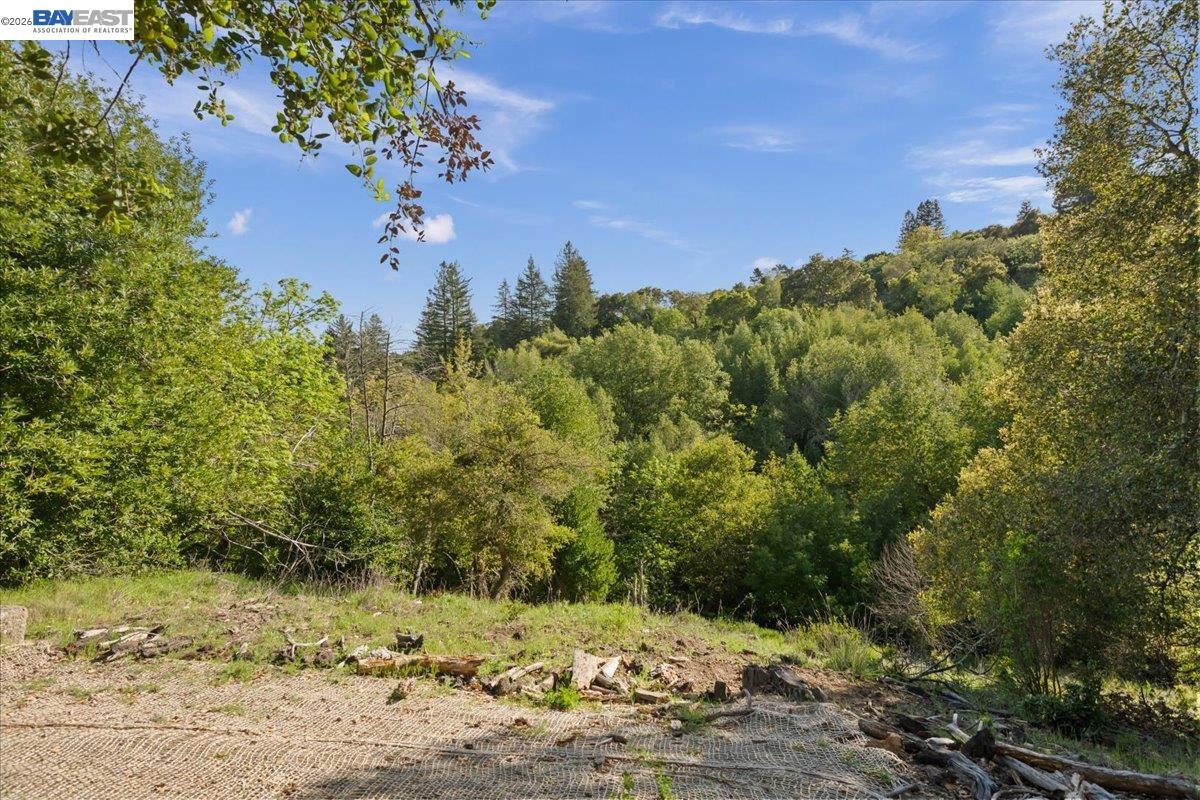 Detail Gallery Image 25 of 36 For 0 Silverwood Dr, Lafayette,  CA 94549 - – Beds | – Baths