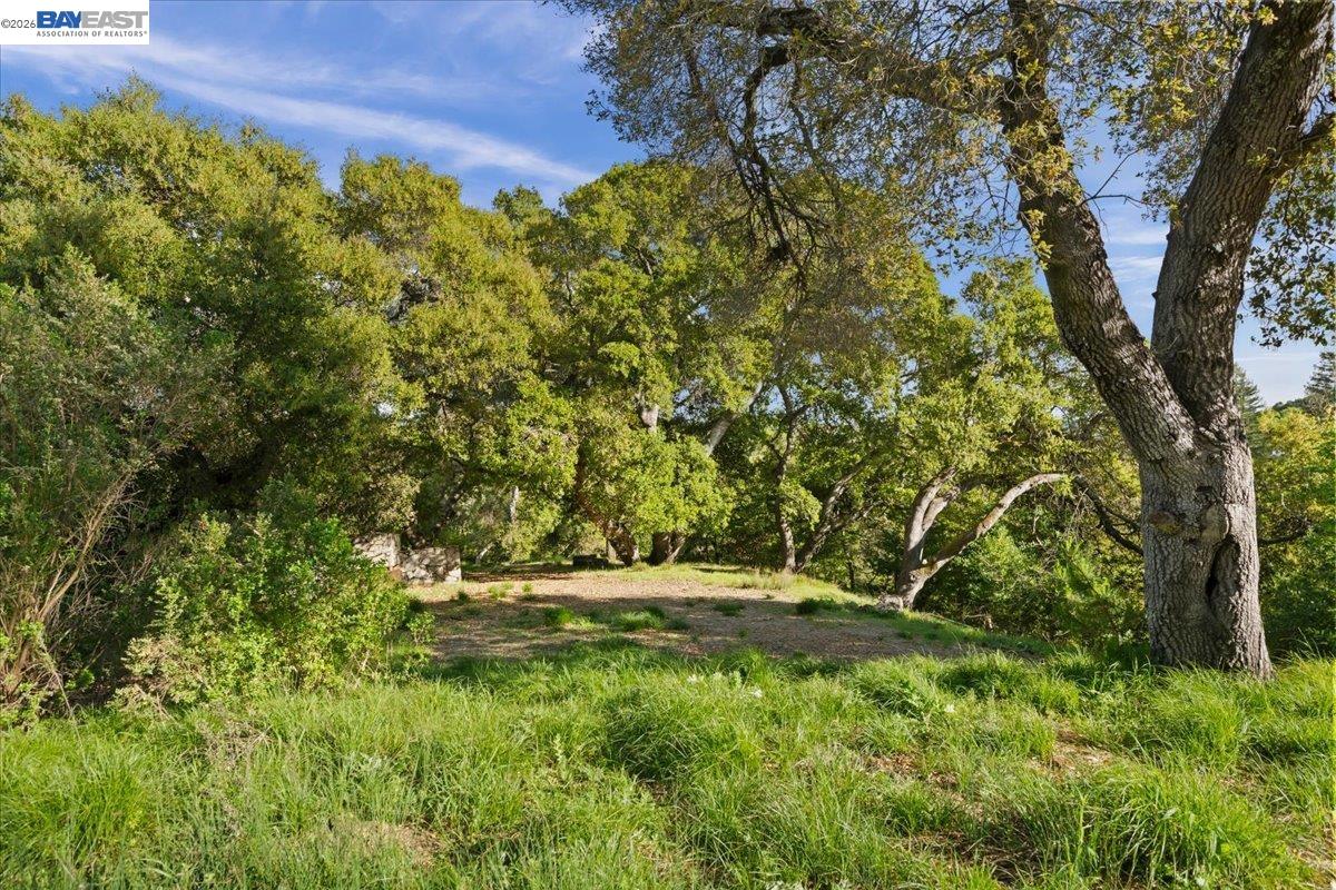 Detail Gallery Image 27 of 36 For 0 Silverwood Dr, Lafayette,  CA 94549 - – Beds | – Baths