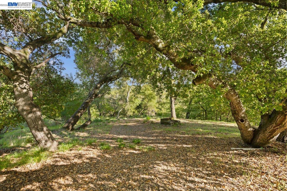 Detail Gallery Image 28 of 36 For 0 Silverwood Dr, Lafayette,  CA 94549 - – Beds | – Baths