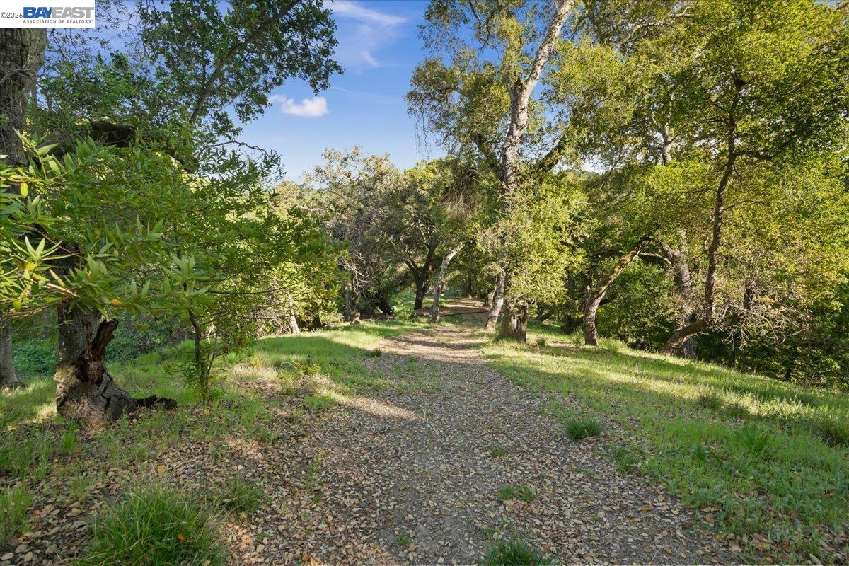 Detail Gallery Image 29 of 36 For 0 Silverwood Dr, Lafayette,  CA 94549 - – Beds | – Baths