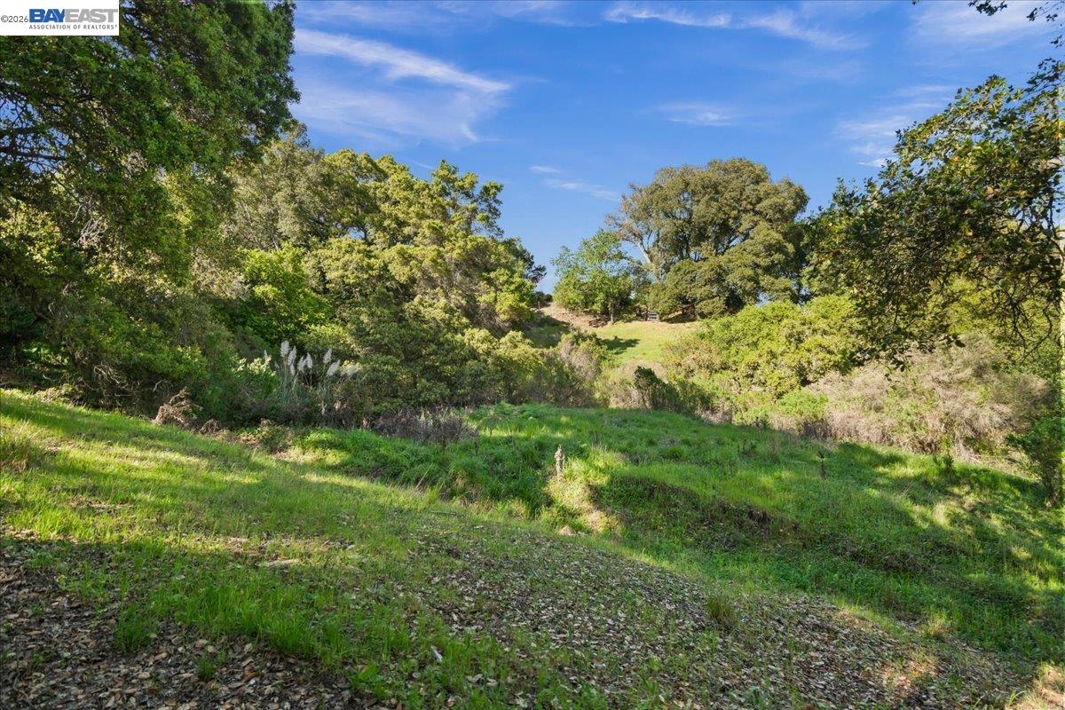 Detail Gallery Image 8 of 36 For 0 Silverwood Dr, Lafayette,  CA 94549 - – Beds | – Baths