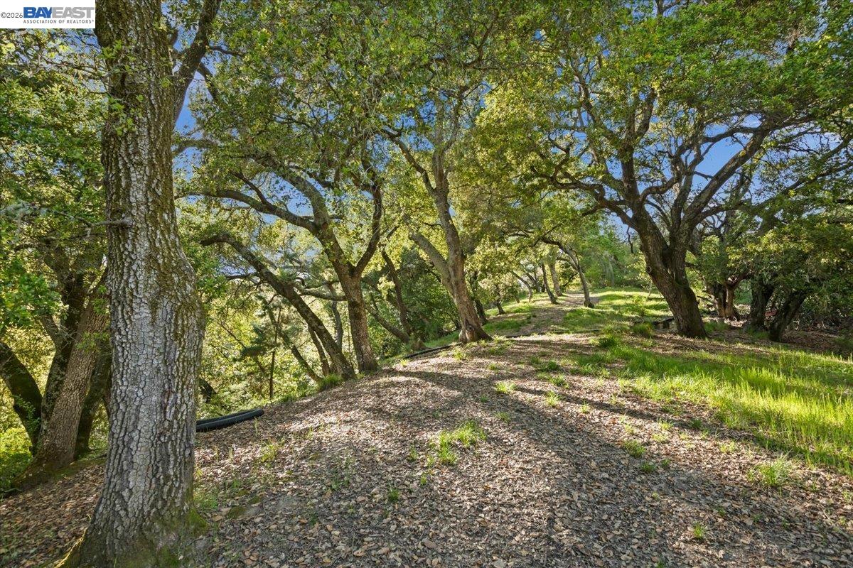 Detail Gallery Image 9 of 36 For 0 Silverwood Dr, Lafayette,  CA 94549 - – Beds | – Baths