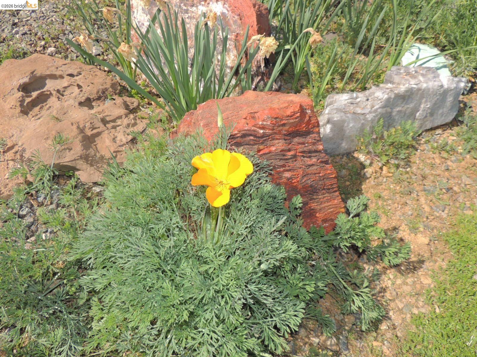 Detail Gallery Image 12 of 60 For 5356 Dogtown Rd, Coulterville,  CA 95311-9540 - 3 Beds | 3 Baths