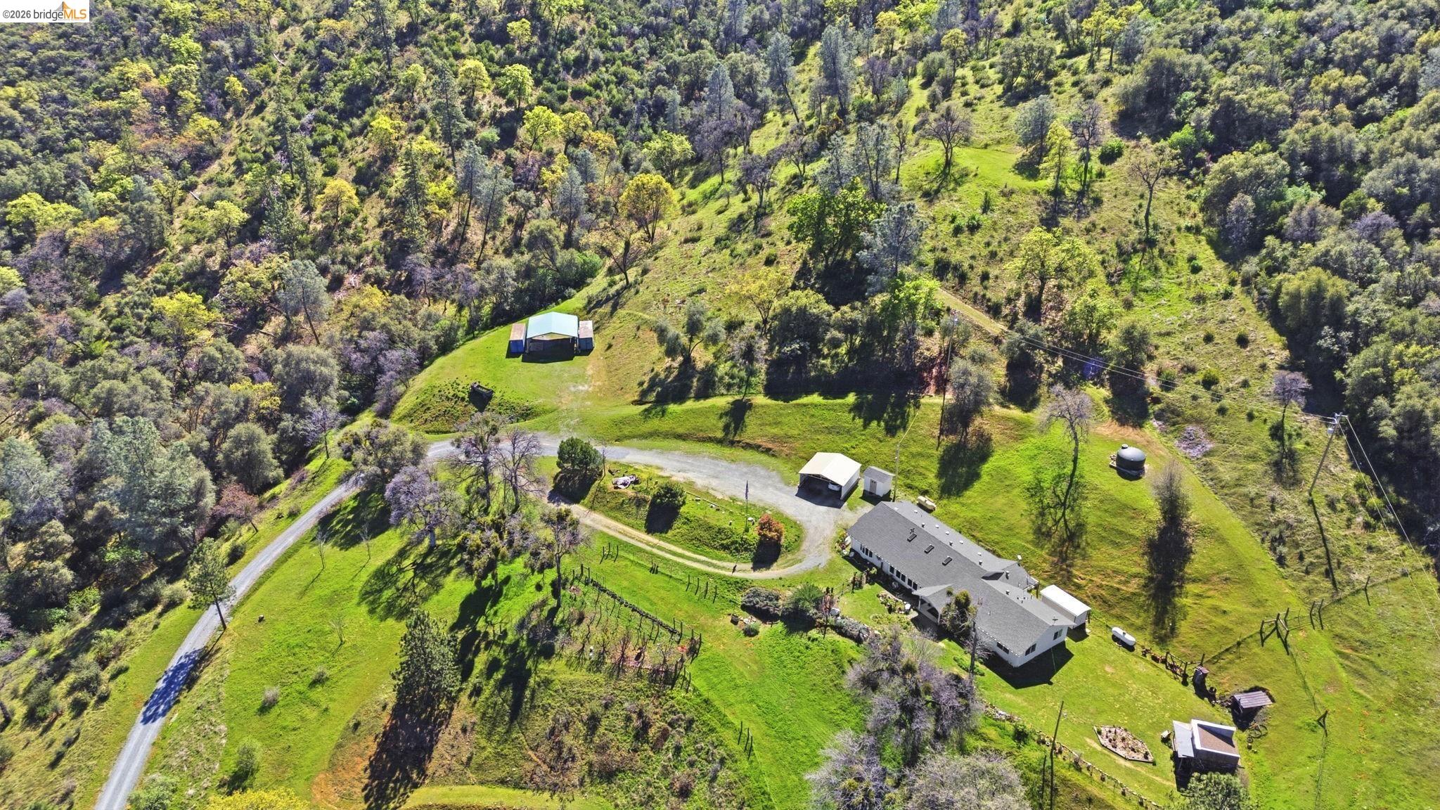 Detail Gallery Image 4 of 60 For 5356 Dogtown Rd, Coulterville,  CA 95311-9540 - 3 Beds | 3 Baths