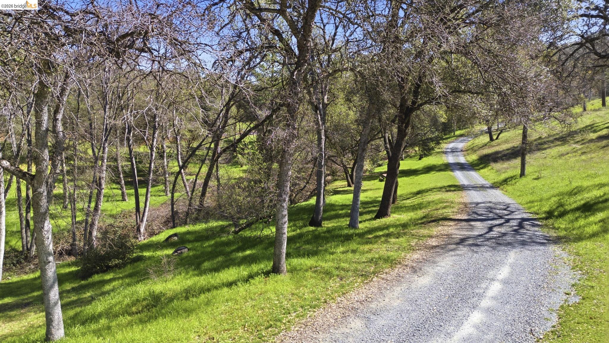 Detail Gallery Image 5 of 60 For 5356 Dogtown Rd, Coulterville,  CA 95311-9540 - 3 Beds | 3 Baths