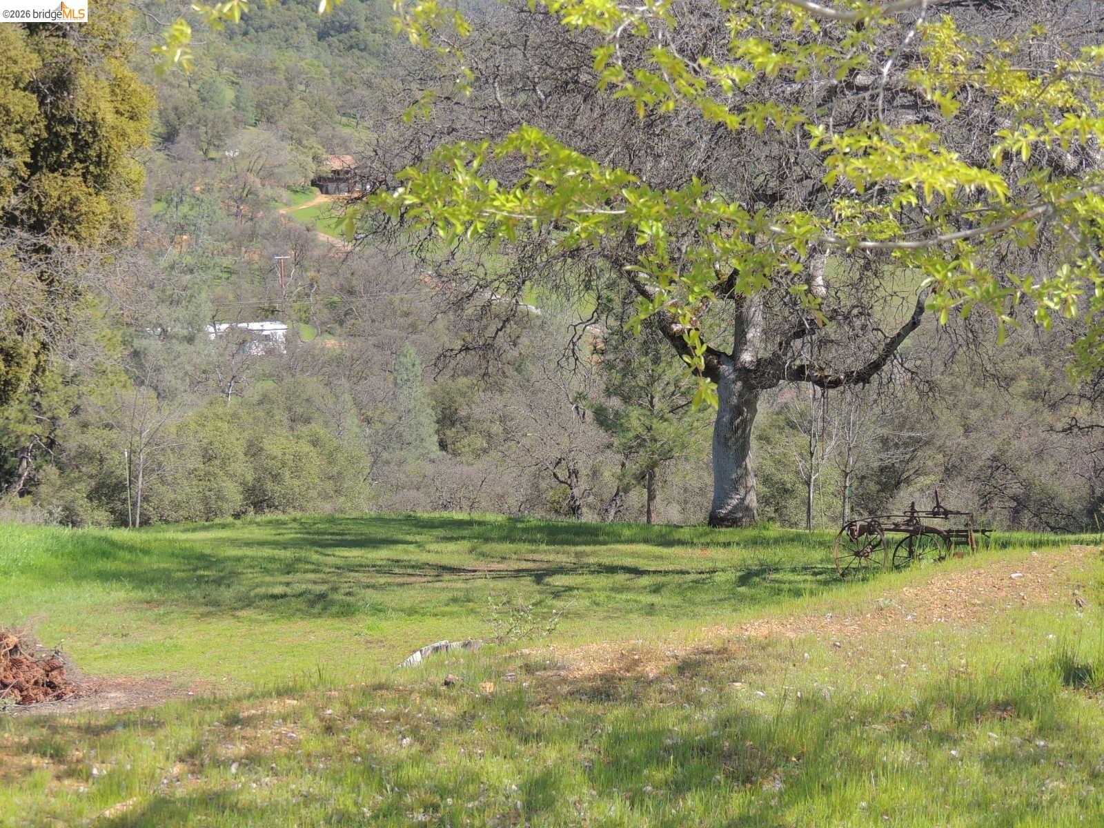 Detail Gallery Image 6 of 60 For 5356 Dogtown Rd, Coulterville,  CA 95311-9540 - 3 Beds | 3 Baths