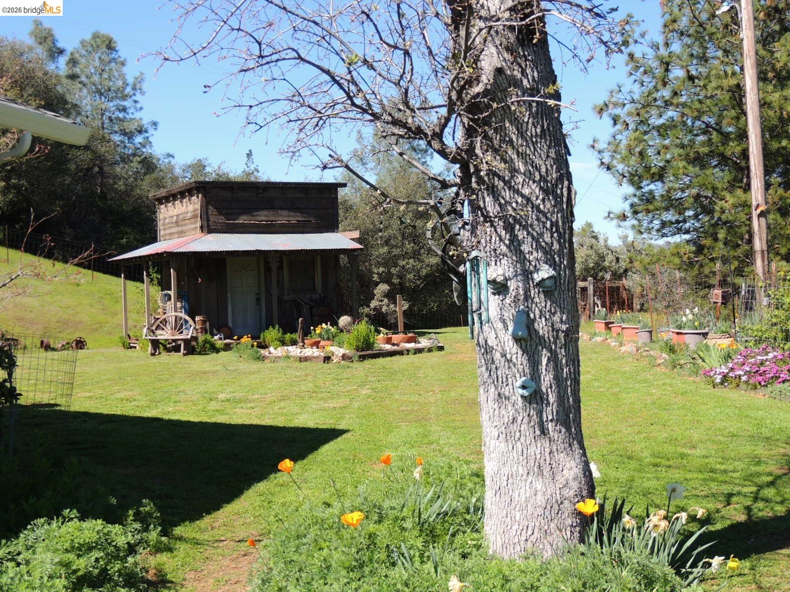 5356 Dogtown Rd, Coulterville CA 95311 — photo 55