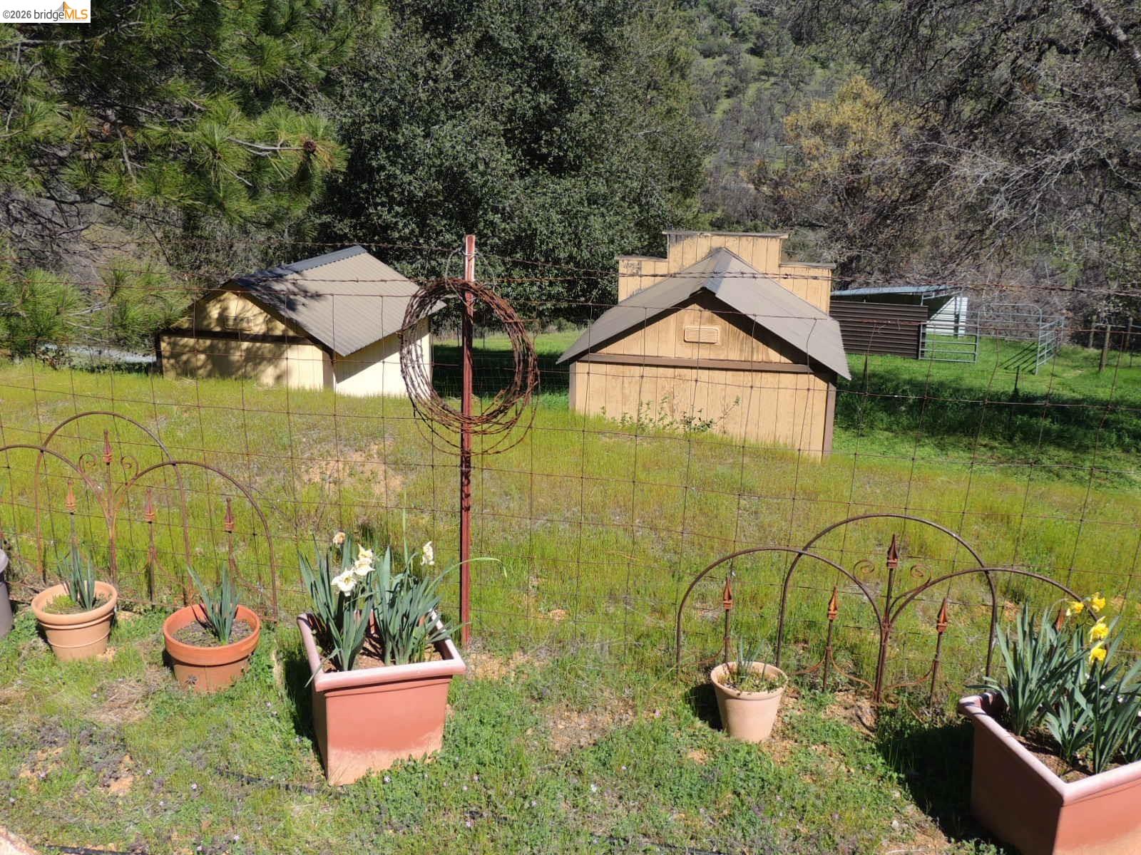 5356 Dogtown Rd, Coulterville CA 95311 — photo 69