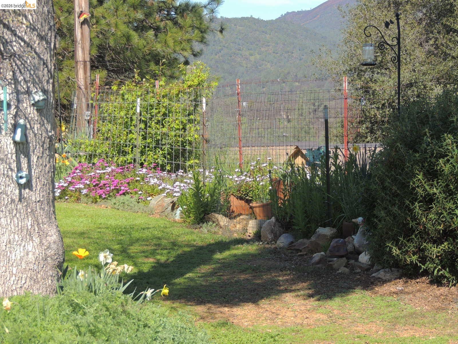 Detail Gallery Image 8 of 60 For 5356 Dogtown Rd, Coulterville,  CA 95311-9540 - 3 Beds | 3 Baths