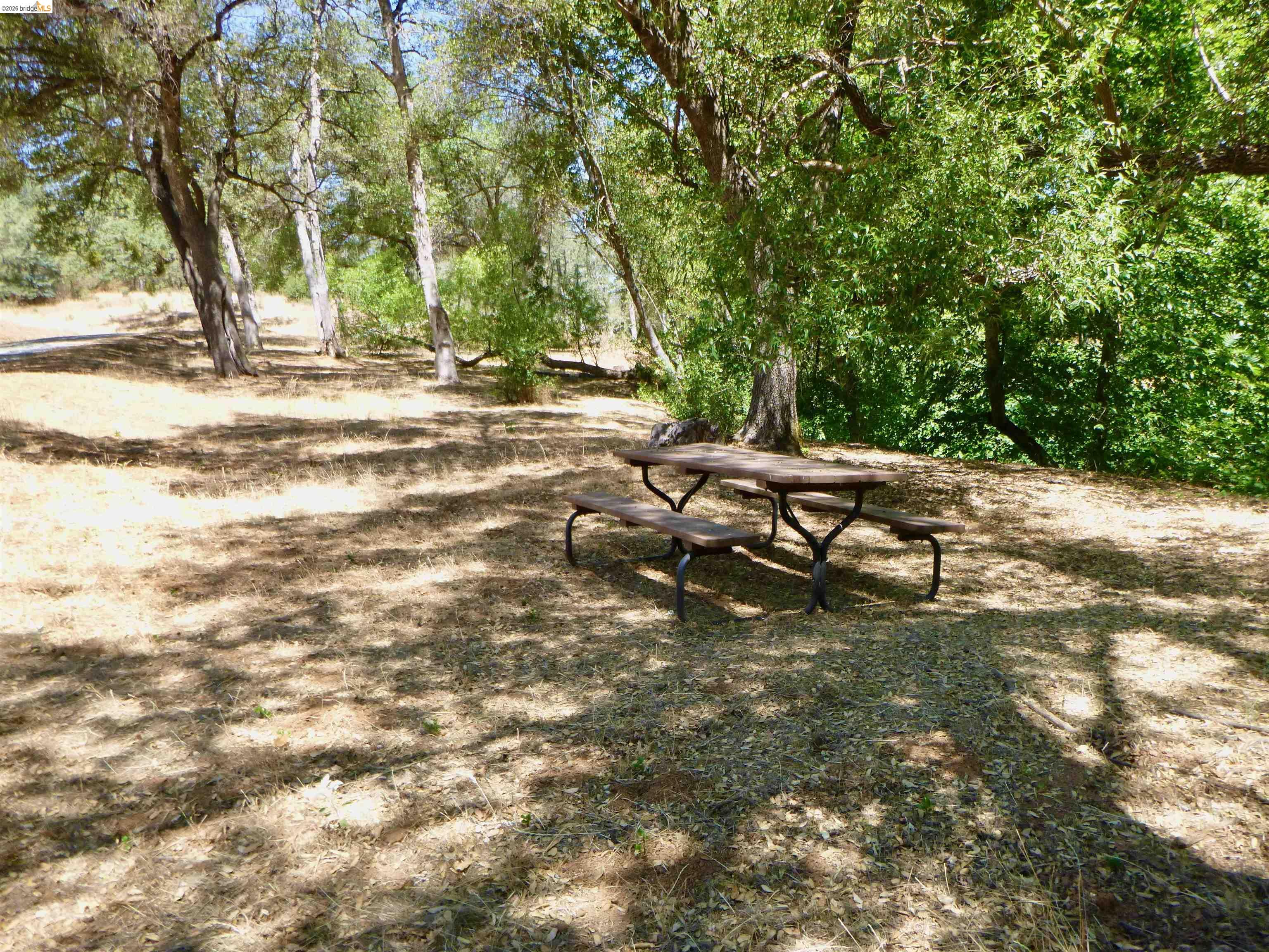 5356 Dogtown Rd, Coulterville CA 95311 — photo 87