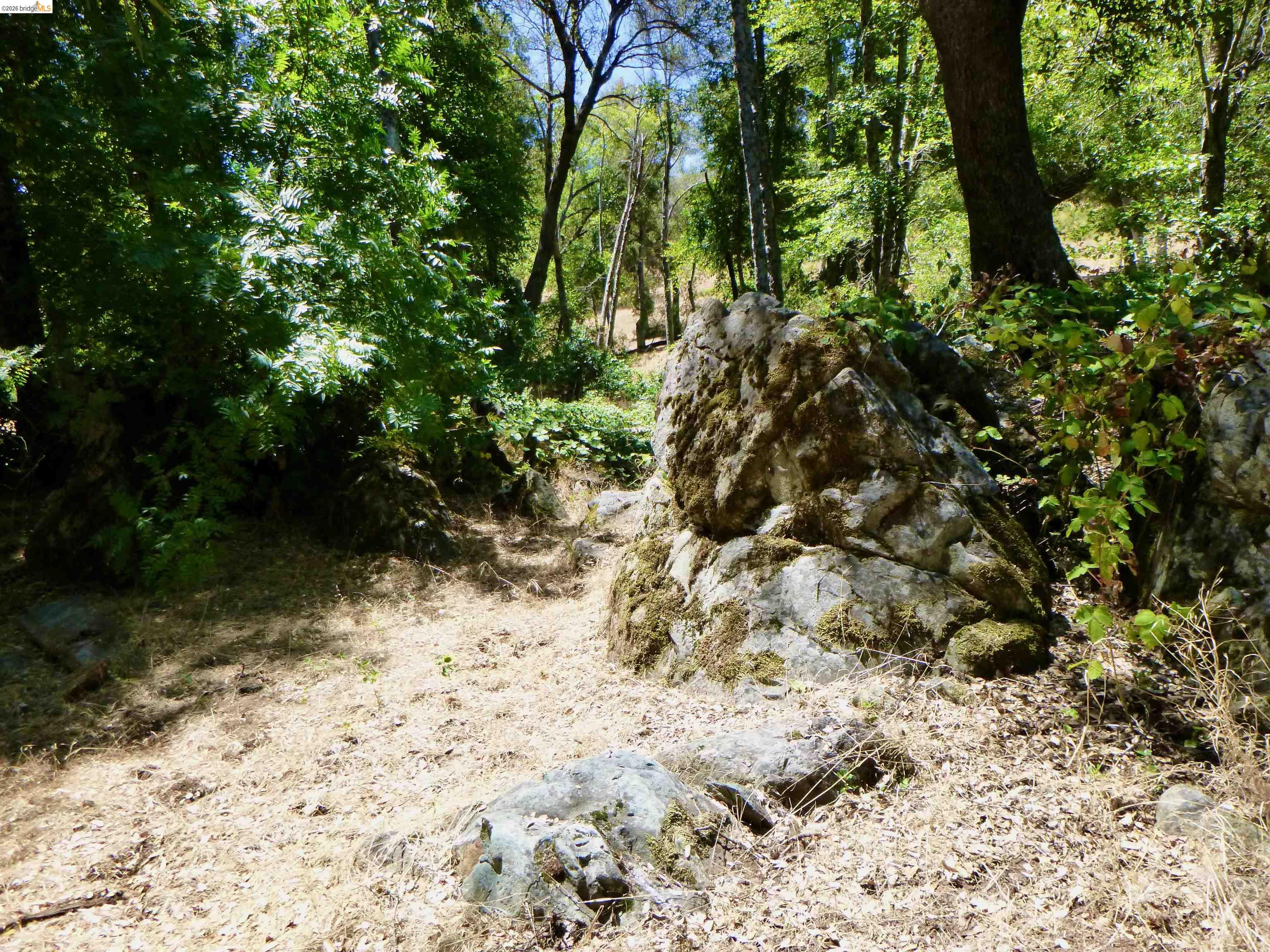 5356 Dogtown Rd, Coulterville CA 95311 — photo 89