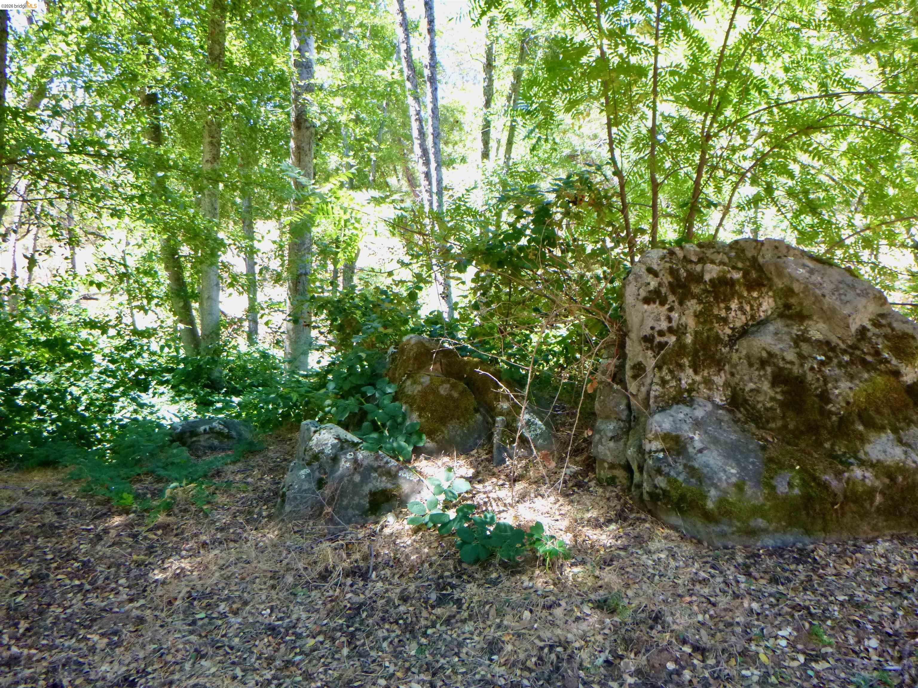 5356 Dogtown Rd, Coulterville CA 95311 — photo 90