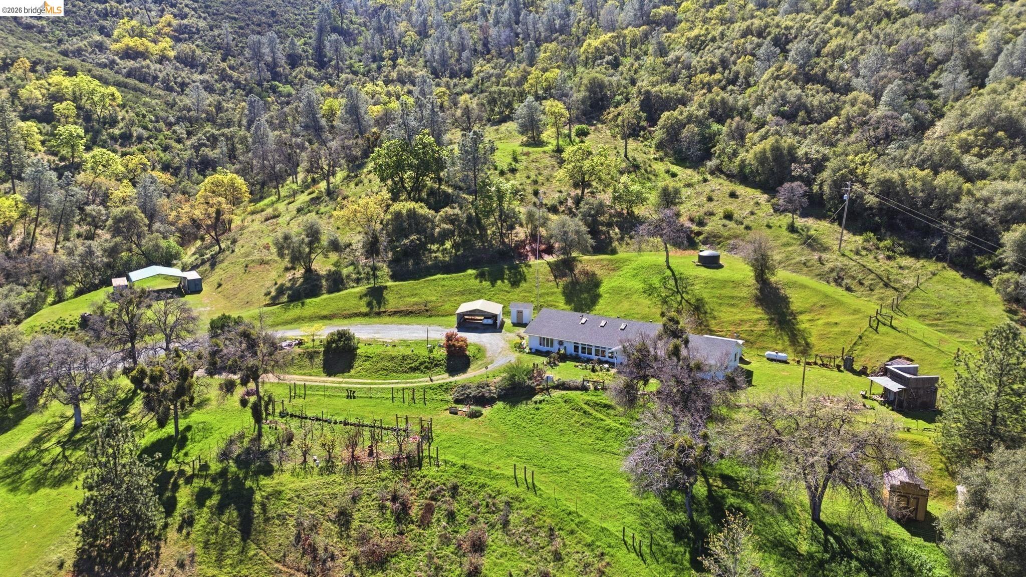 5356 Dogtown Rd, Coulterville CA 95311 — photo 99