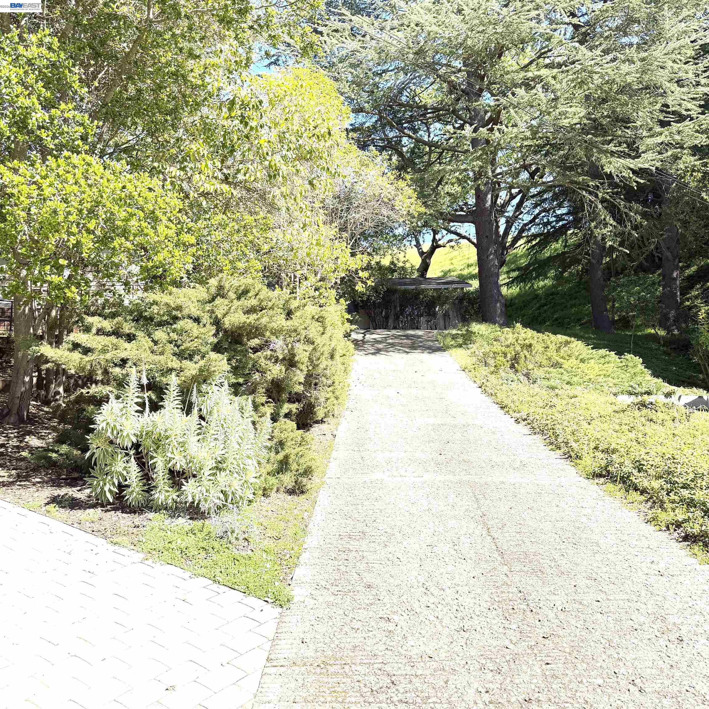 Detail Gallery Image 15 of 20 For 918 Anita, Lafayette,  CA 94549-4712 - 3 Beds | 2 Baths