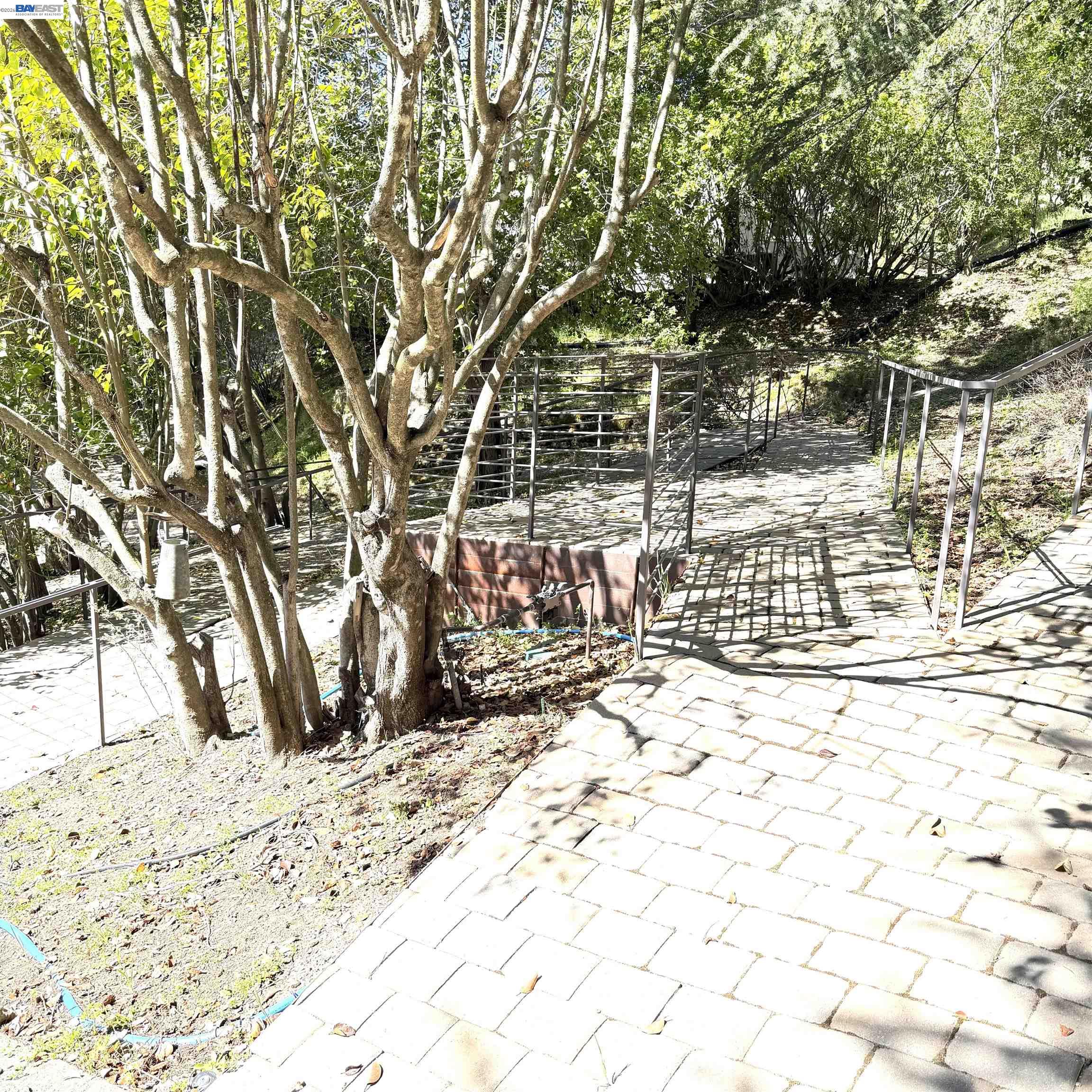 Detail Gallery Image 18 of 20 For 918 Anita, Lafayette,  CA 94549-4712 - 3 Beds | 2 Baths