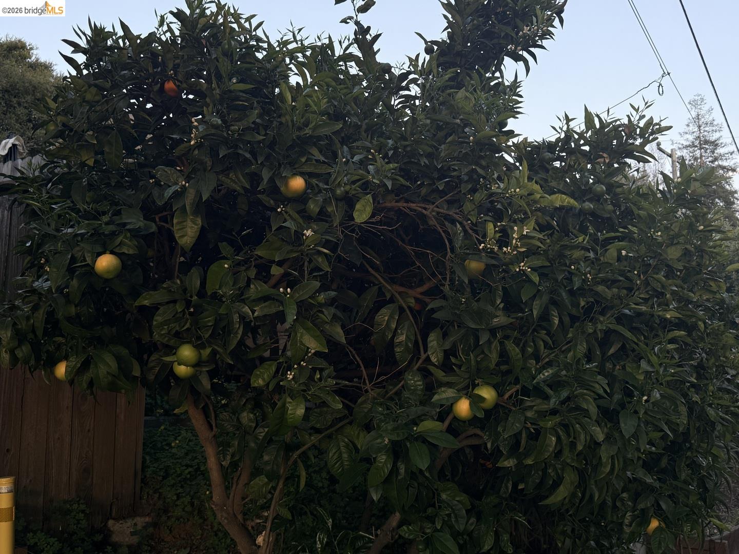 Detail Gallery Image 55 of 58 For 4432 Harbor View Ave, Oakland,  CA 94619 - 3 Beds | 2 Baths