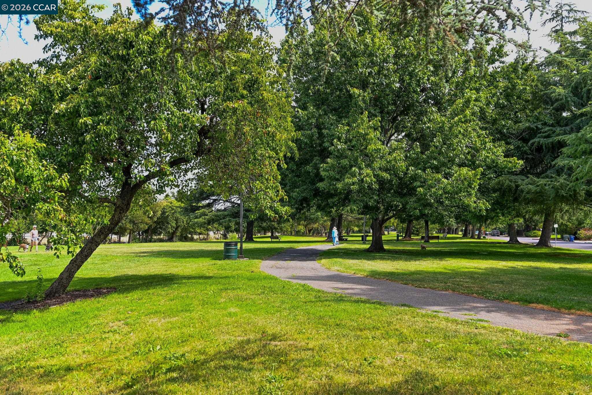 Photo #36: 41127365 Listing: Photo #36