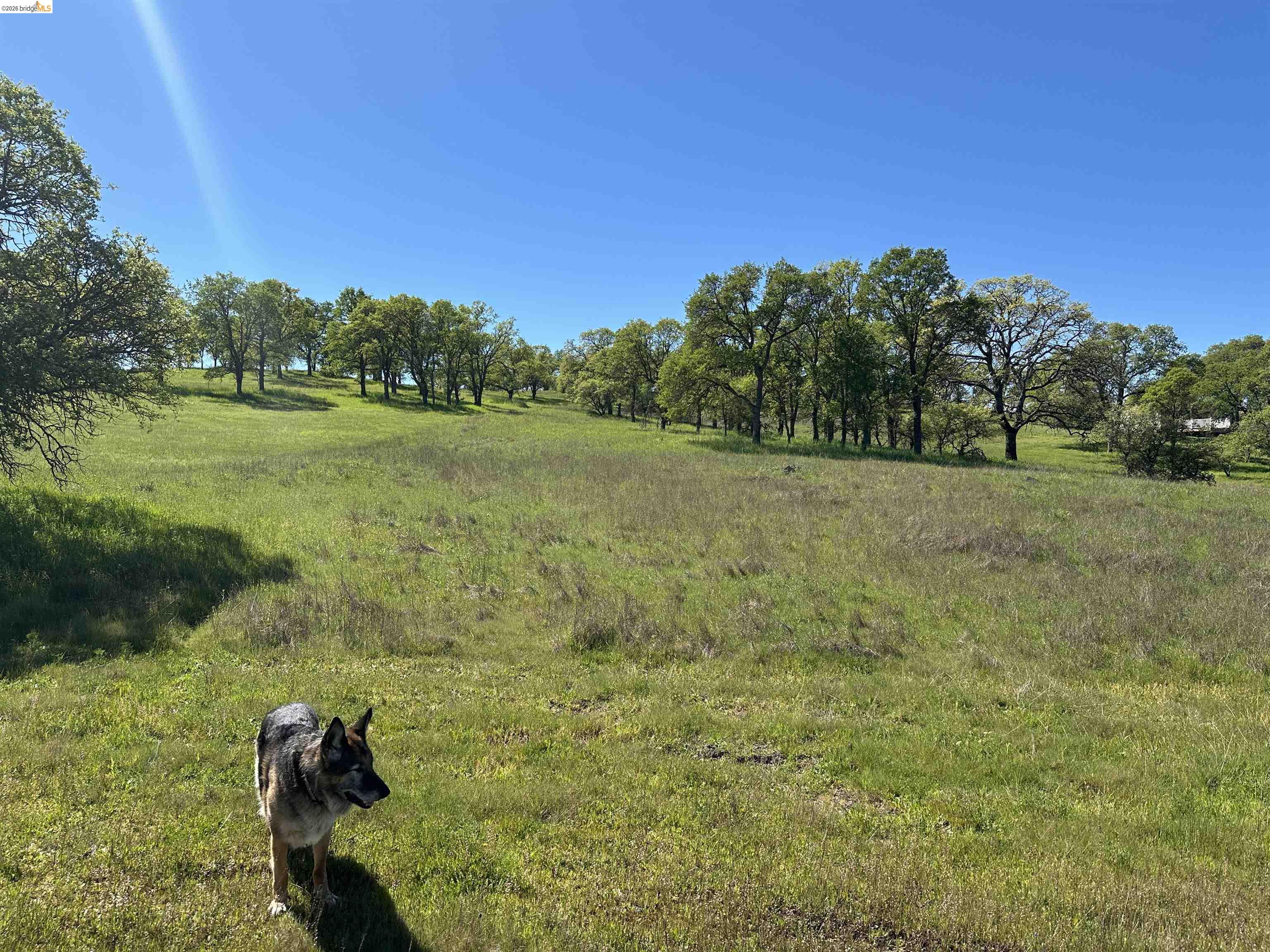 0 Freedom Way, Twain Harte, CA, 95383