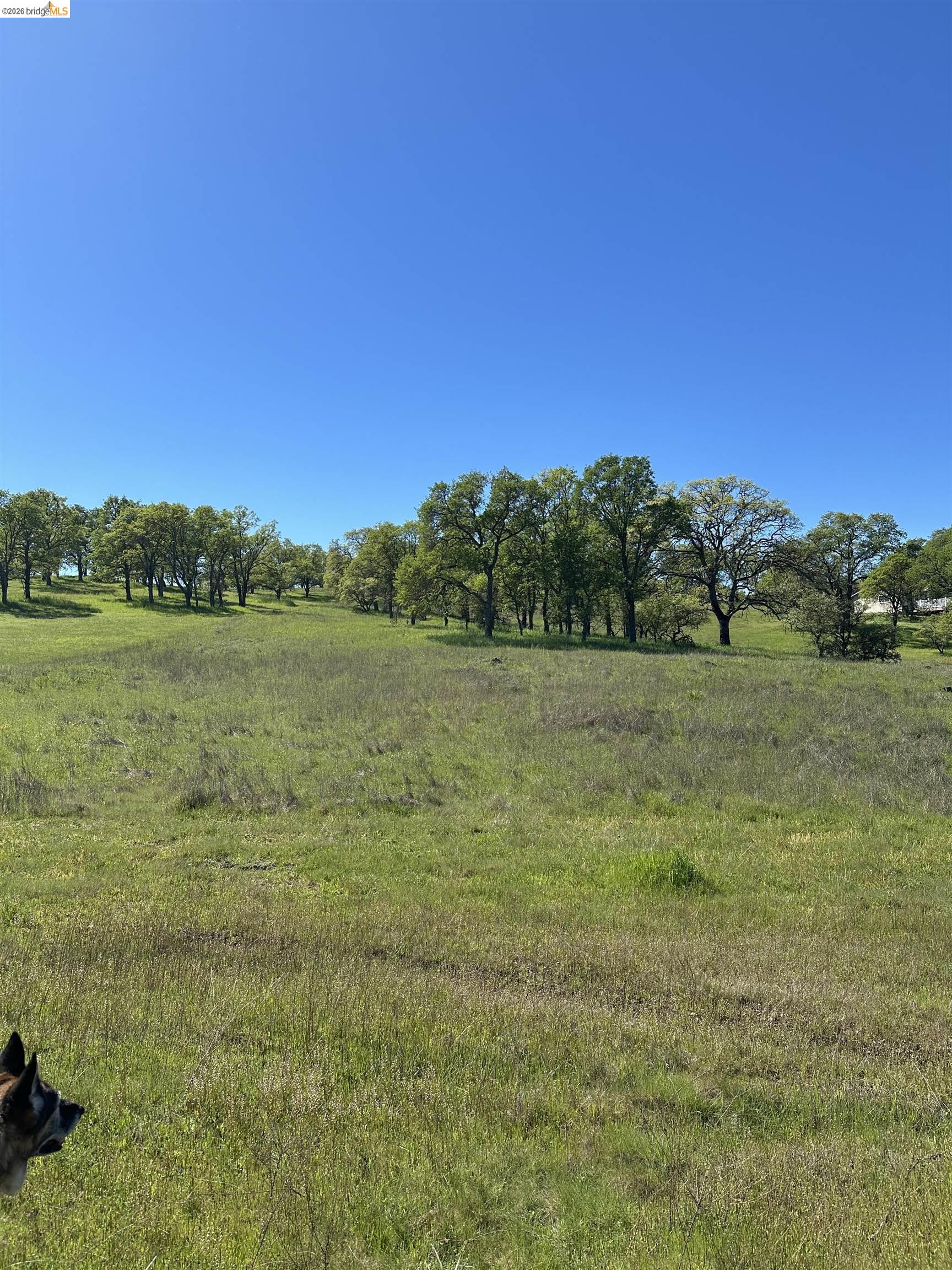 Detail Gallery Image 4 of 8 For 3404 Little John Rd, Copperopolis,  CA 95228 - – Beds | – Baths