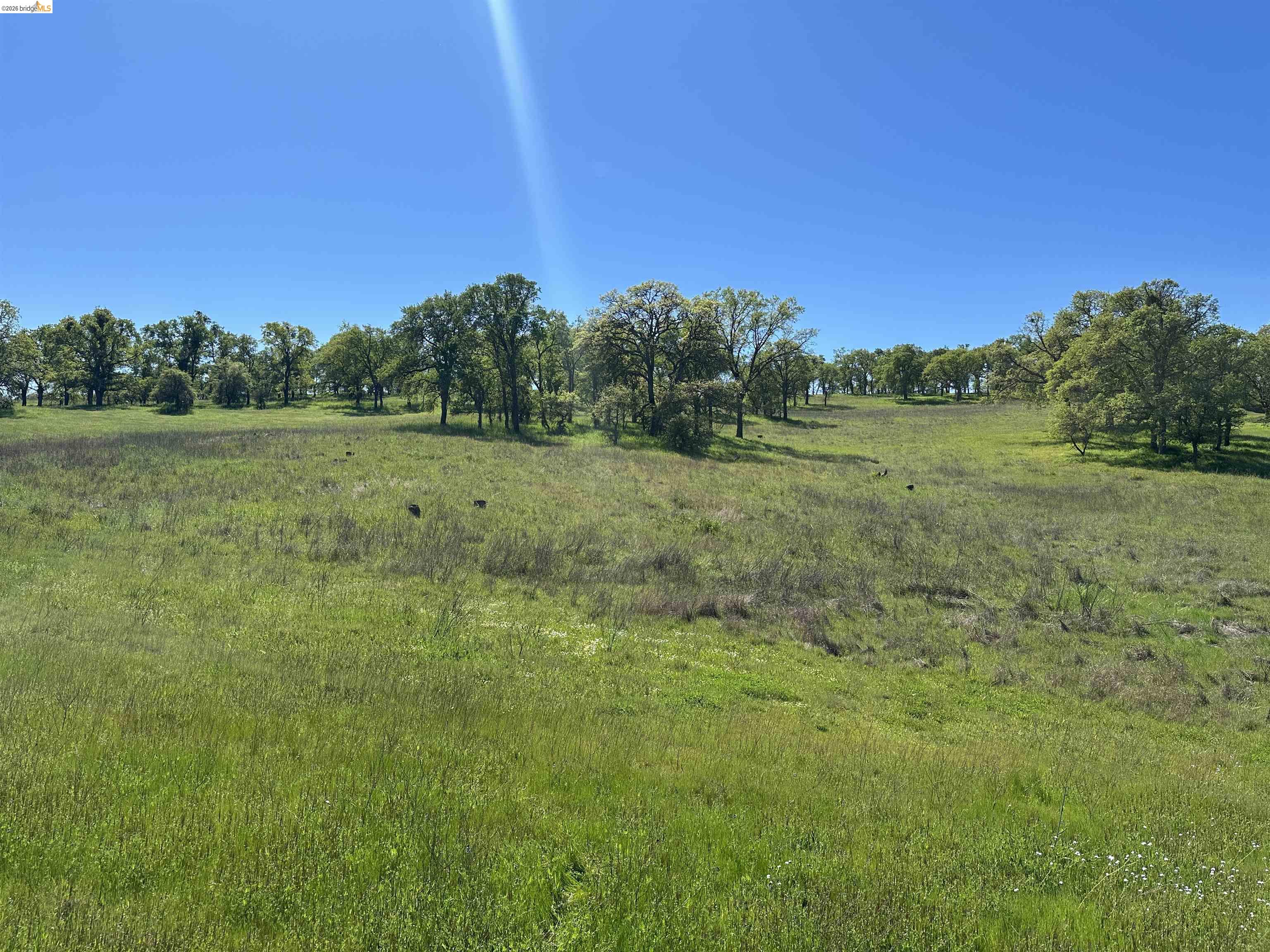 Detail Gallery Image 7 of 8 For 3404 Little John Rd, Copperopolis,  CA 95228 - – Beds | – Baths