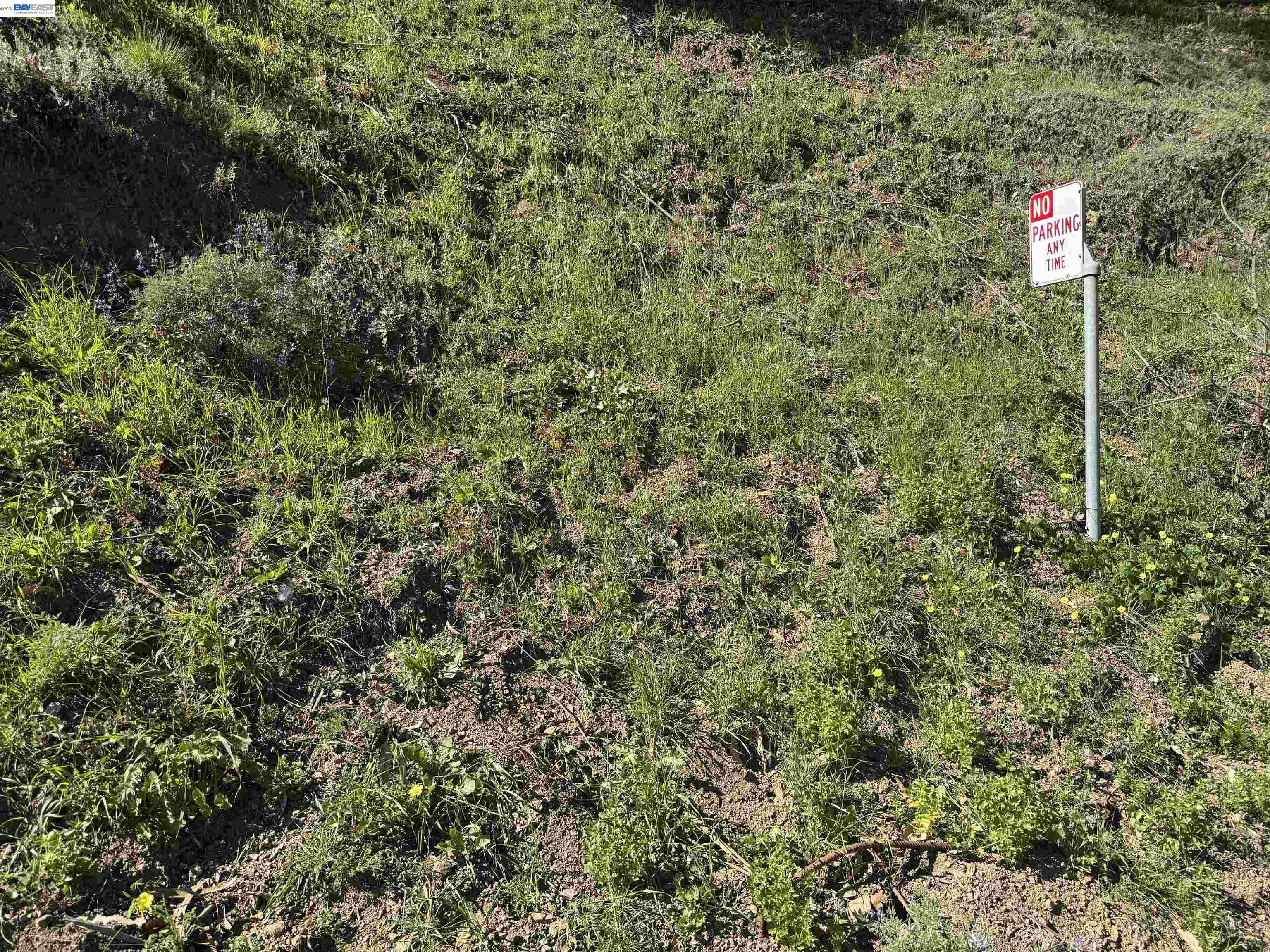 Detail Gallery Image 2 of 18 For 0 Charing Cross Rd, Oakland,  CA 94603 - – Beds | – Baths