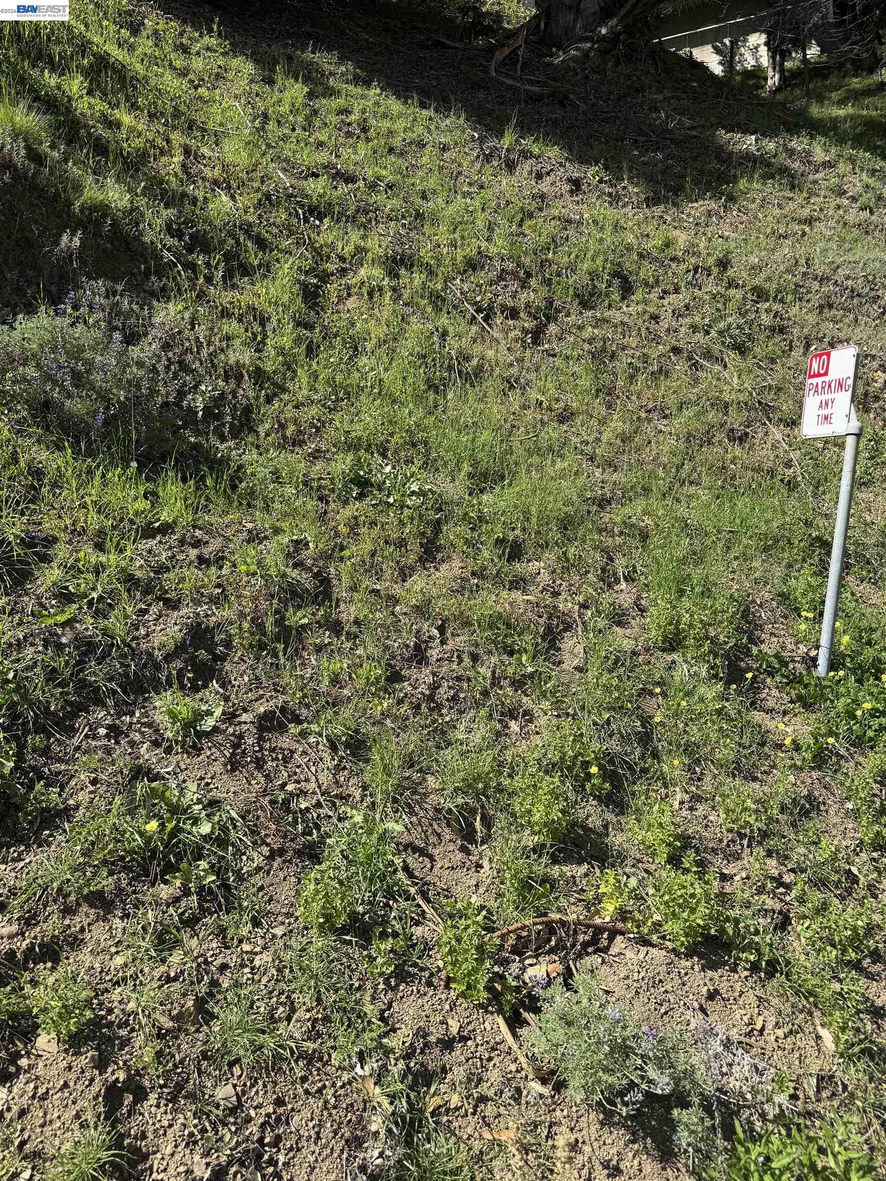 Detail Gallery Image 8 of 18 For 0 Charing Cross Rd, Oakland,  CA 94603 - – Beds | – Baths