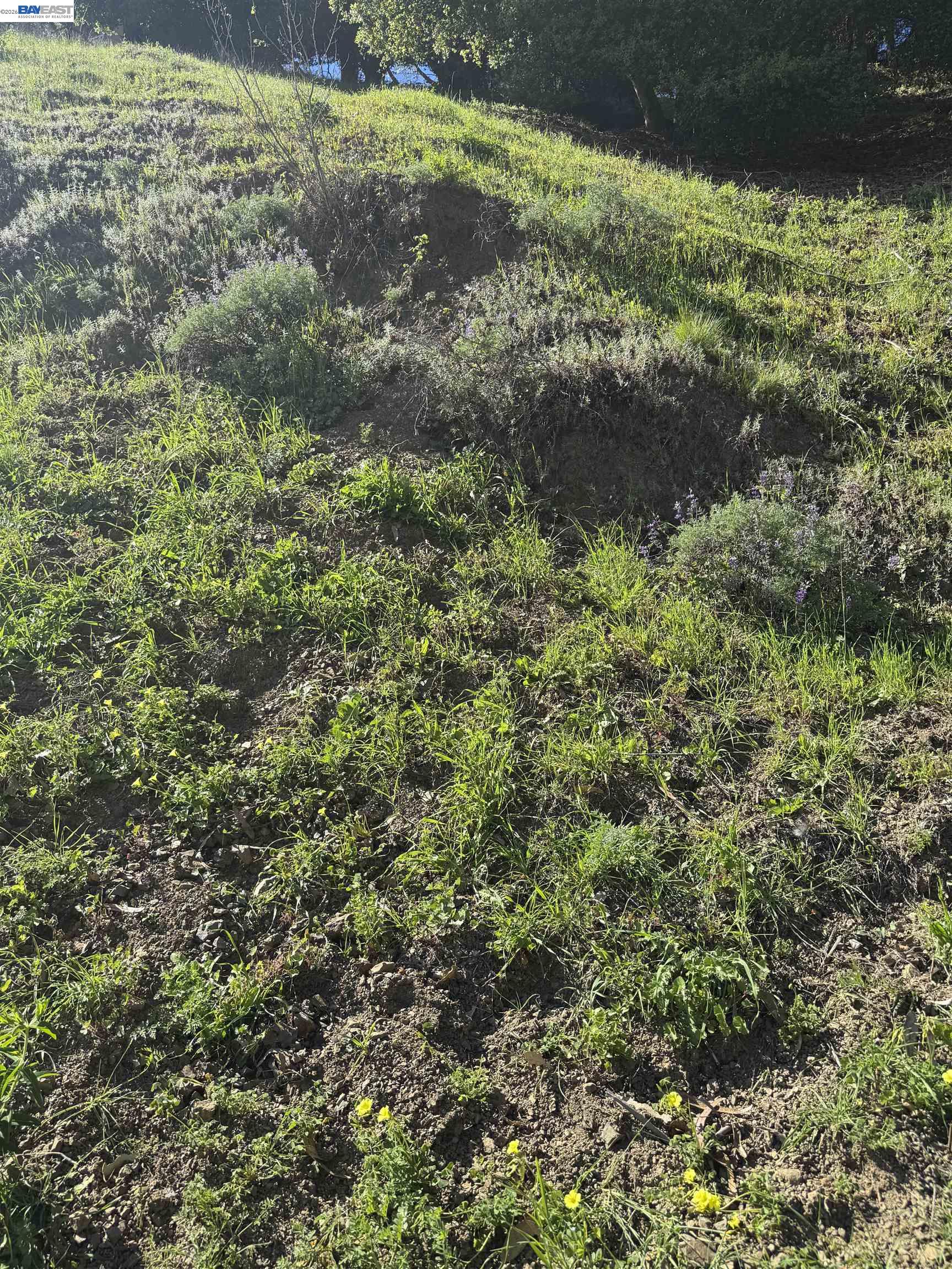 0 Charing Cross Rd, Oakland, CA, 94603