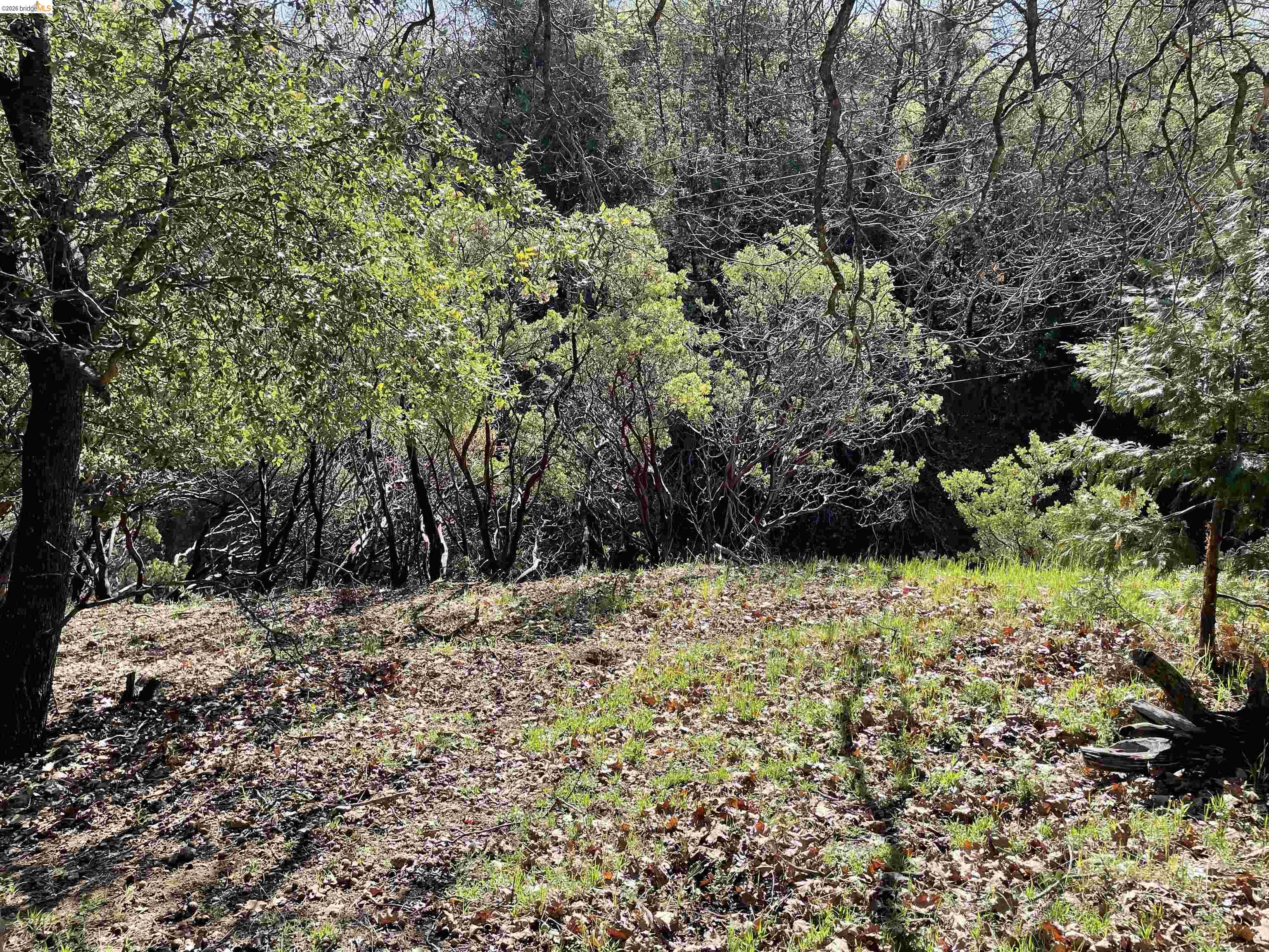 Detail Gallery Image 2 of 4 For 16505 S Creekside Dr, Sonora,  CA 95370 - – Beds | – Baths