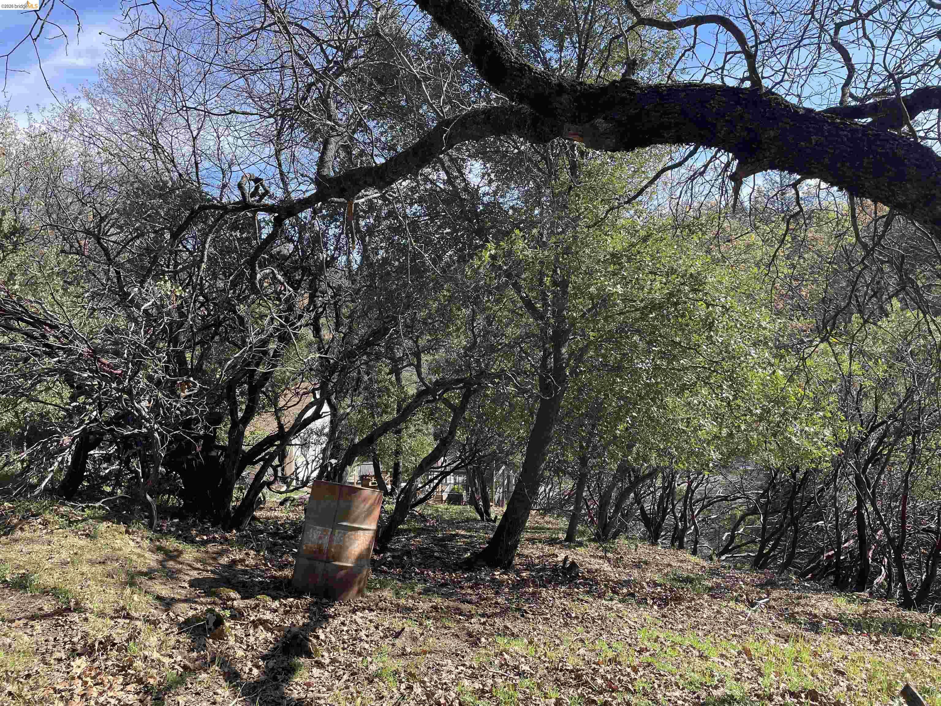 Detail Gallery Image 4 of 4 For 16505 S Creekside Dr, Sonora,  CA 95370 - – Beds | – Baths