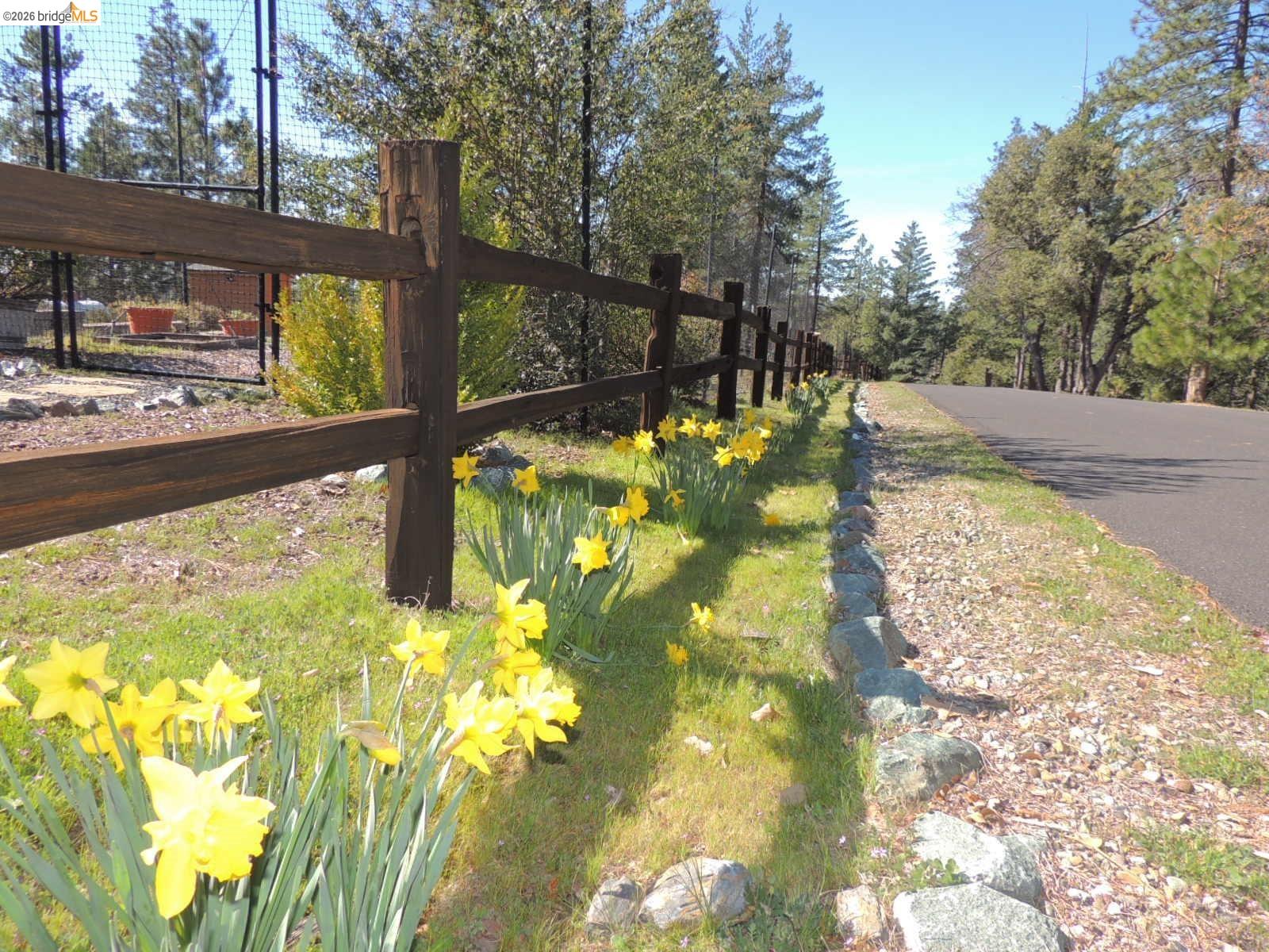 Detail Gallery Image 12 of 60 For 6064 Heron Dr., Coulterville,  CA 95311-9595 - 3 Beds | 3 Baths