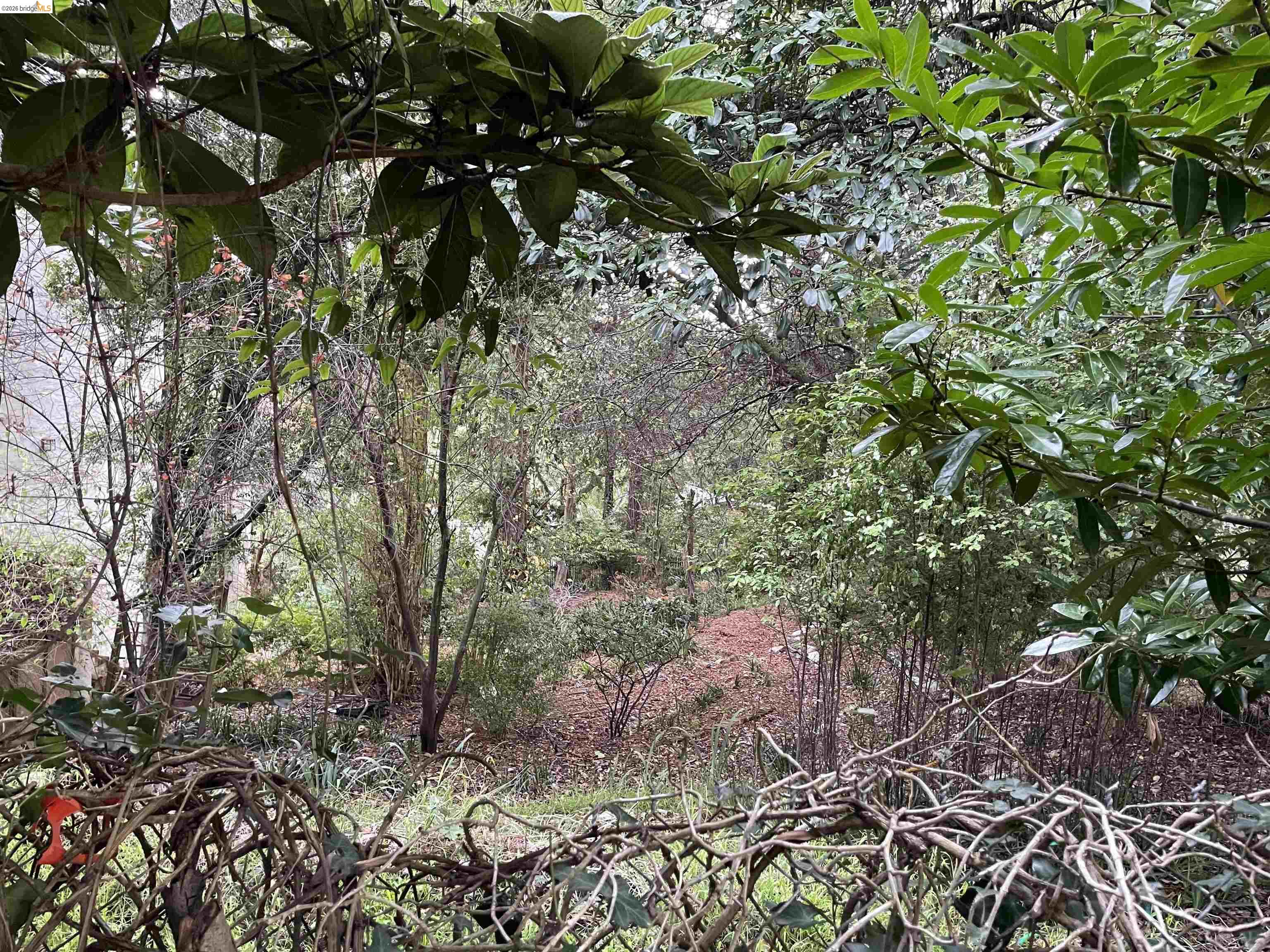 962 Regal Rd, Berkeley, CA, 94708