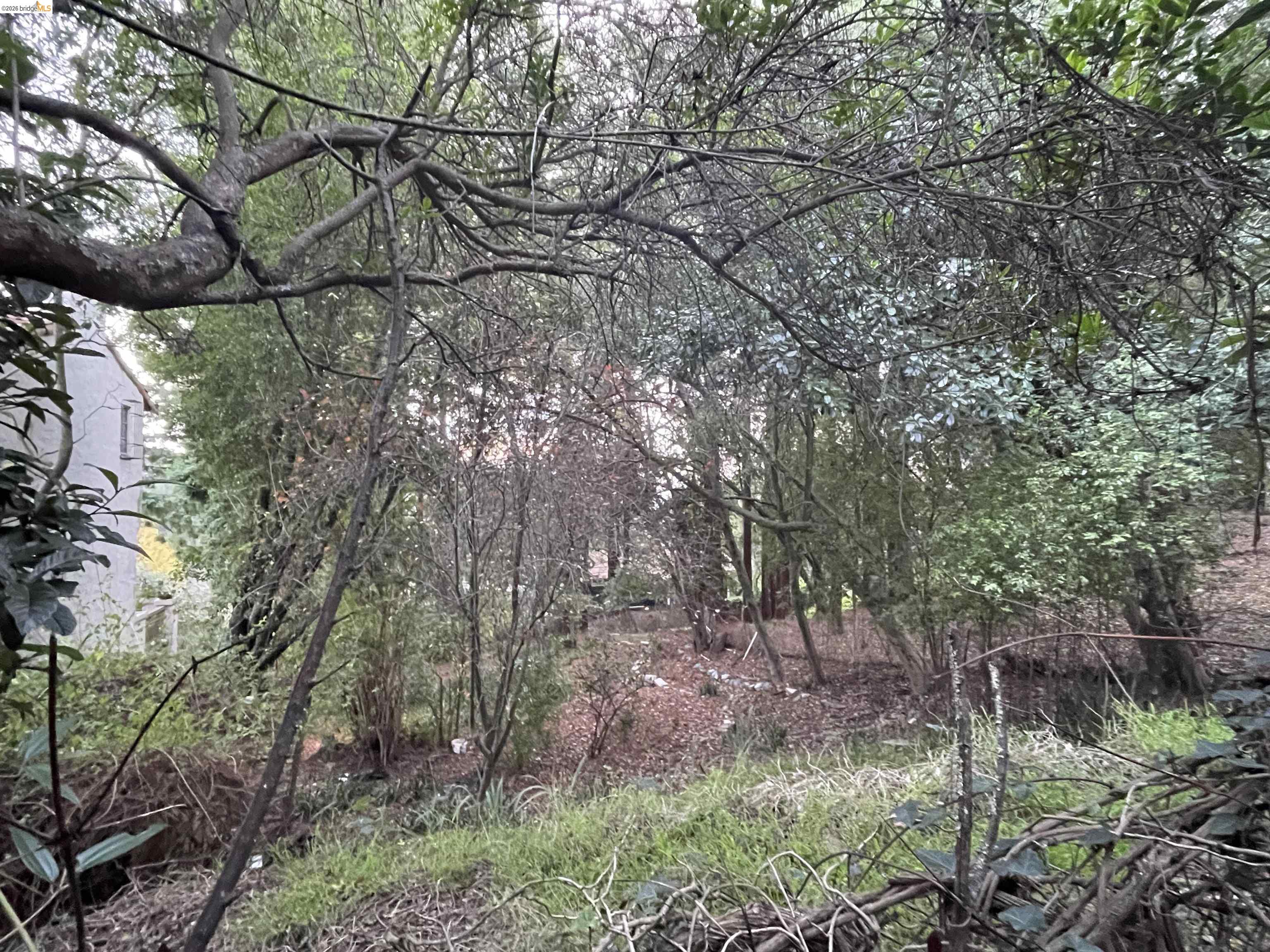 962 Regal Rd, Berkeley, CA, 94708