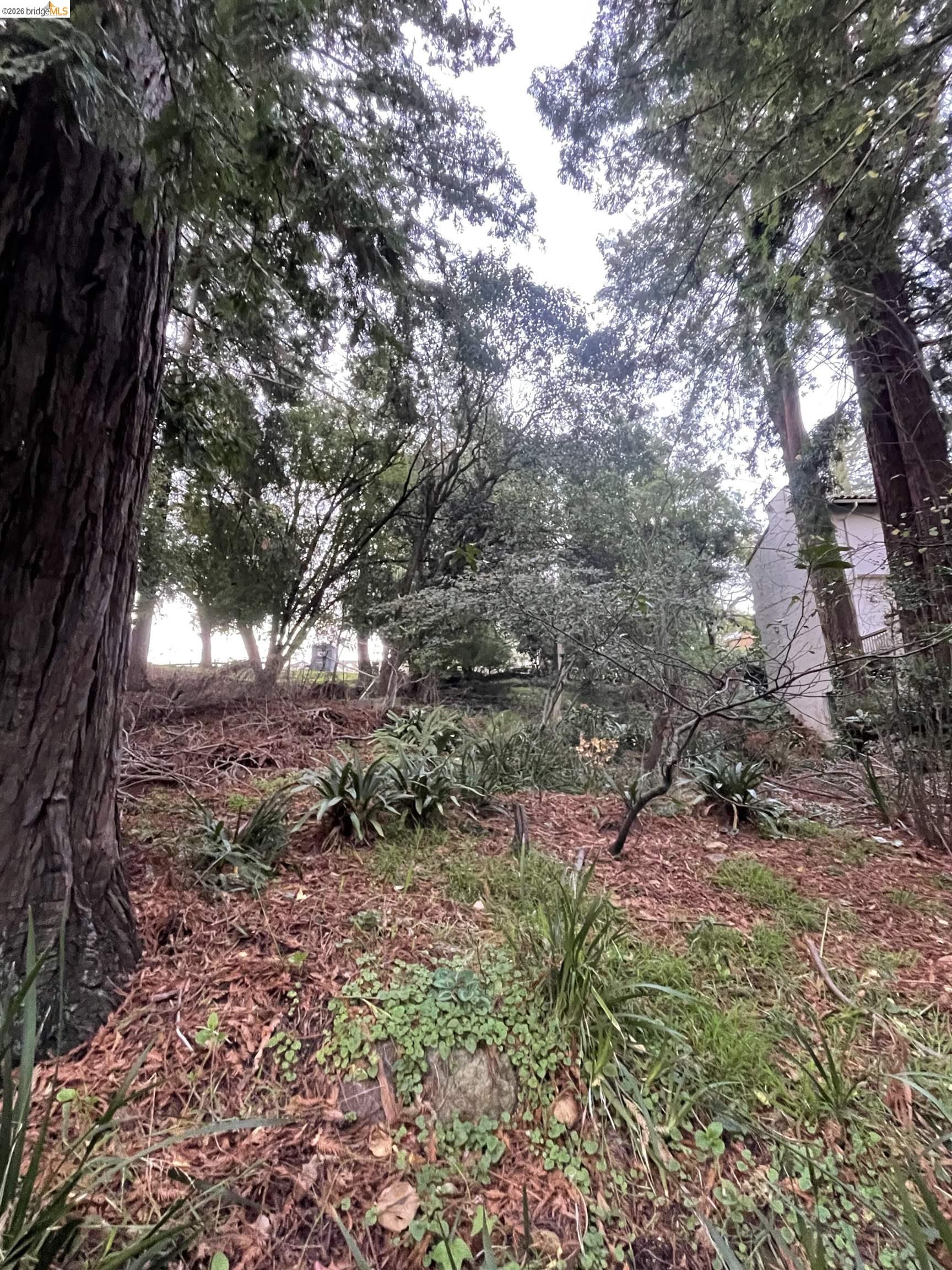 962 Regal Rd, Berkeley, CA, 94708