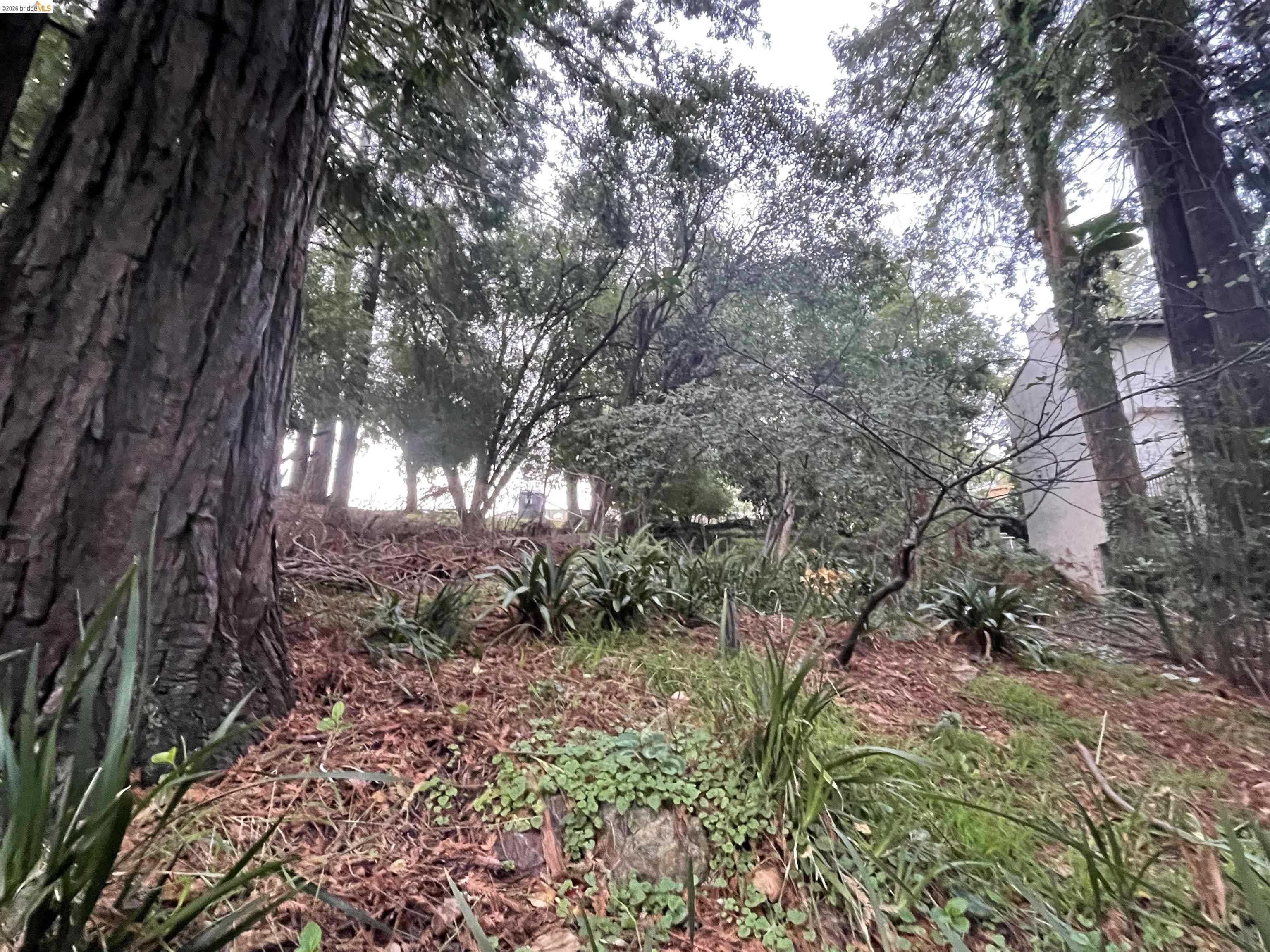 962 Regal Rd, Berkeley, CA, 94708