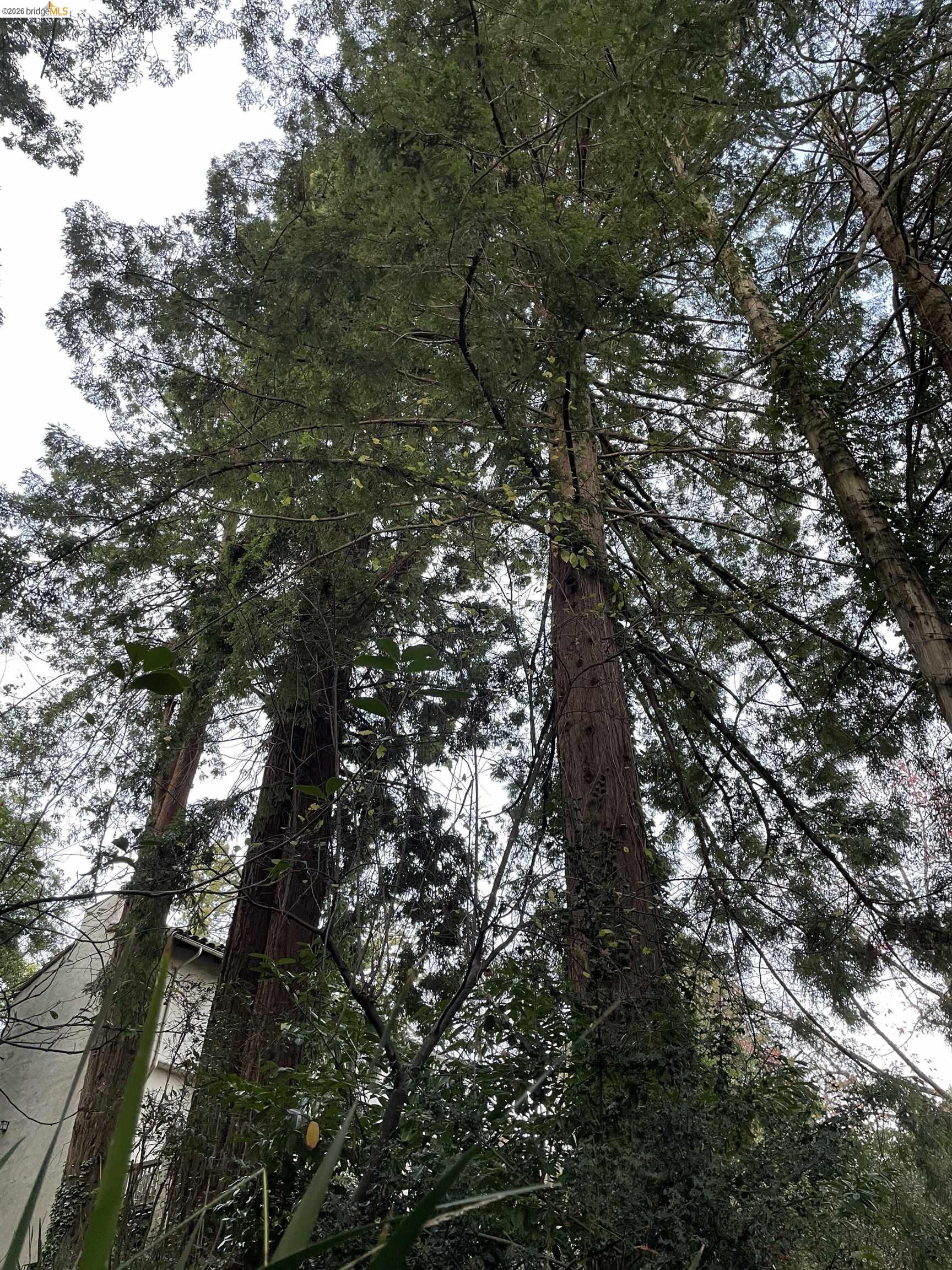 962 Regal Rd, Berkeley, CA, 94708