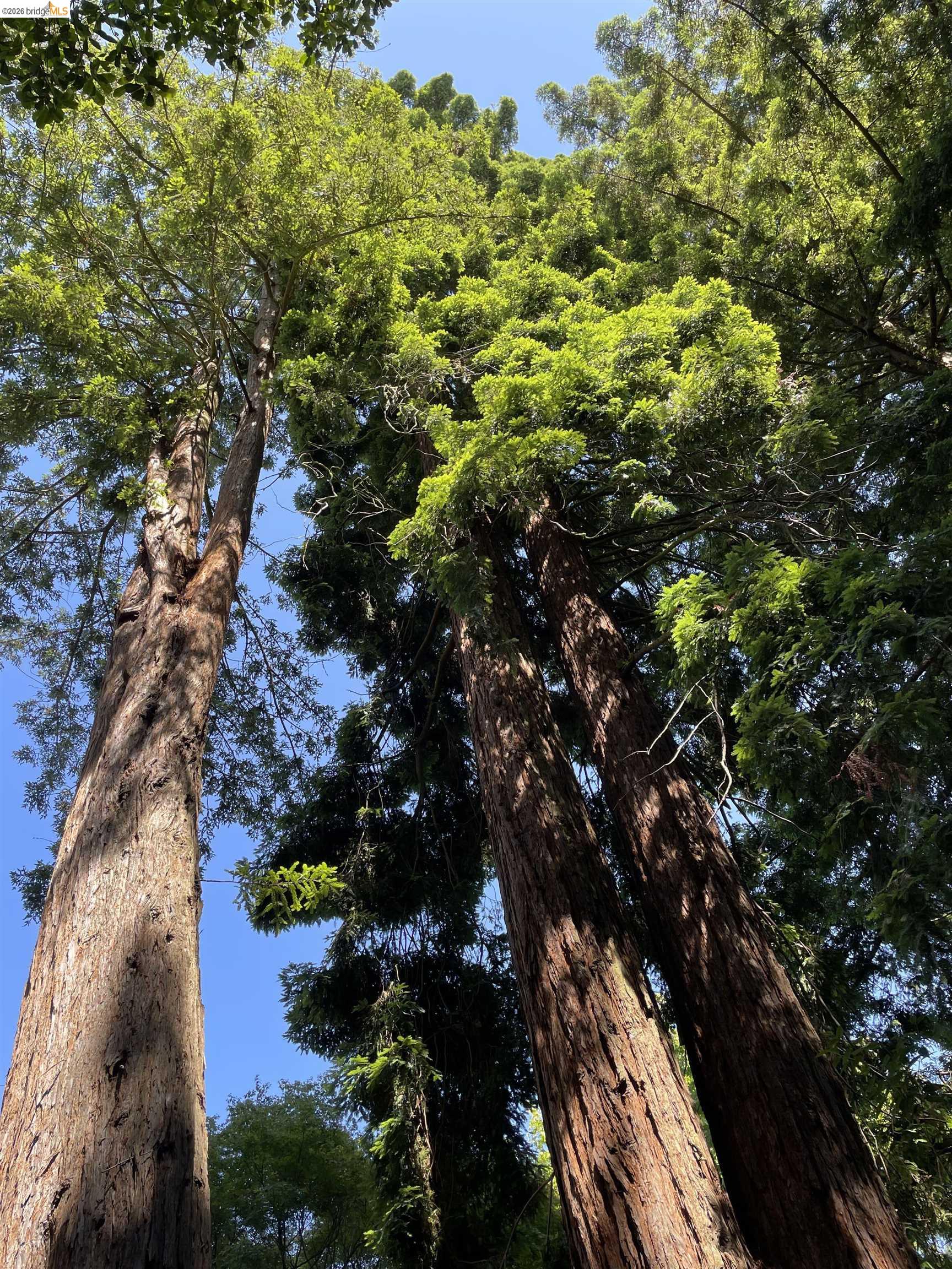 962 Regal Rd, Berkeley, CA, 94708