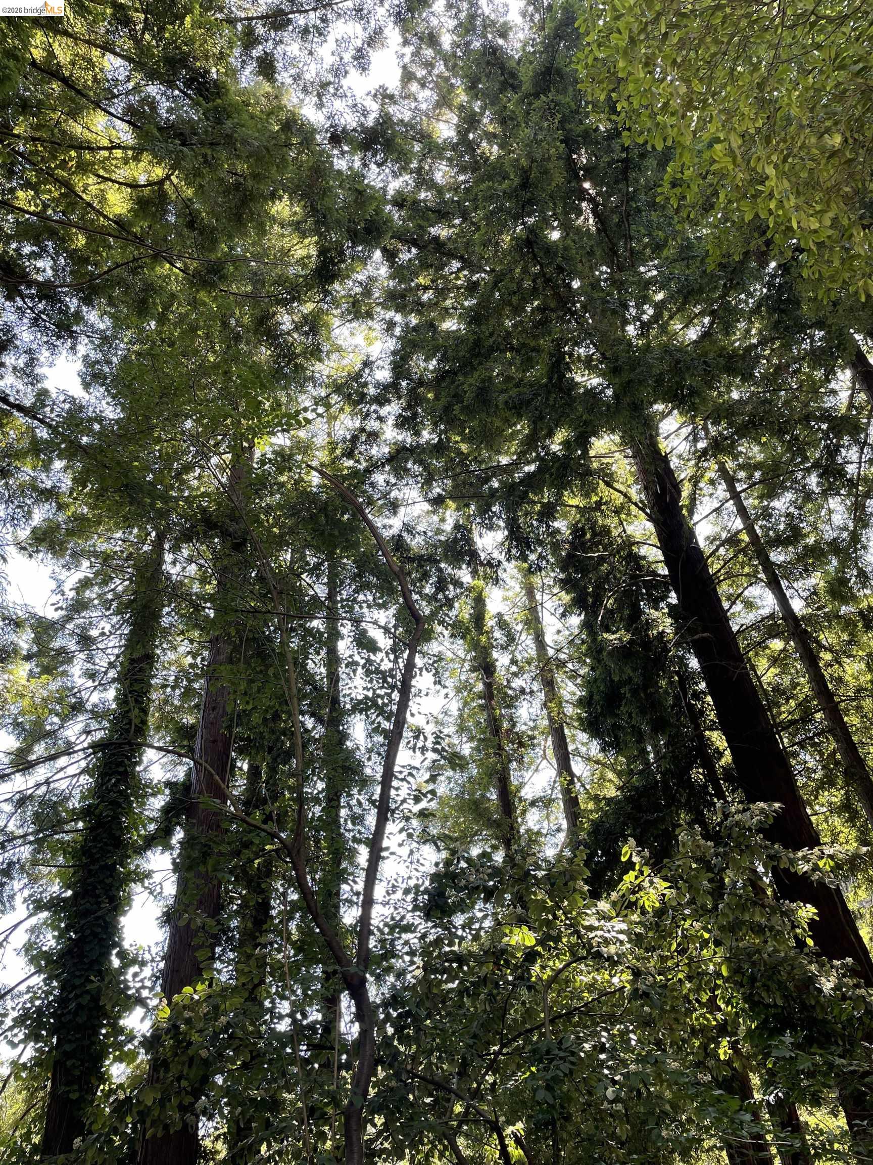 962 Regal Rd, Berkeley, CA, 94708