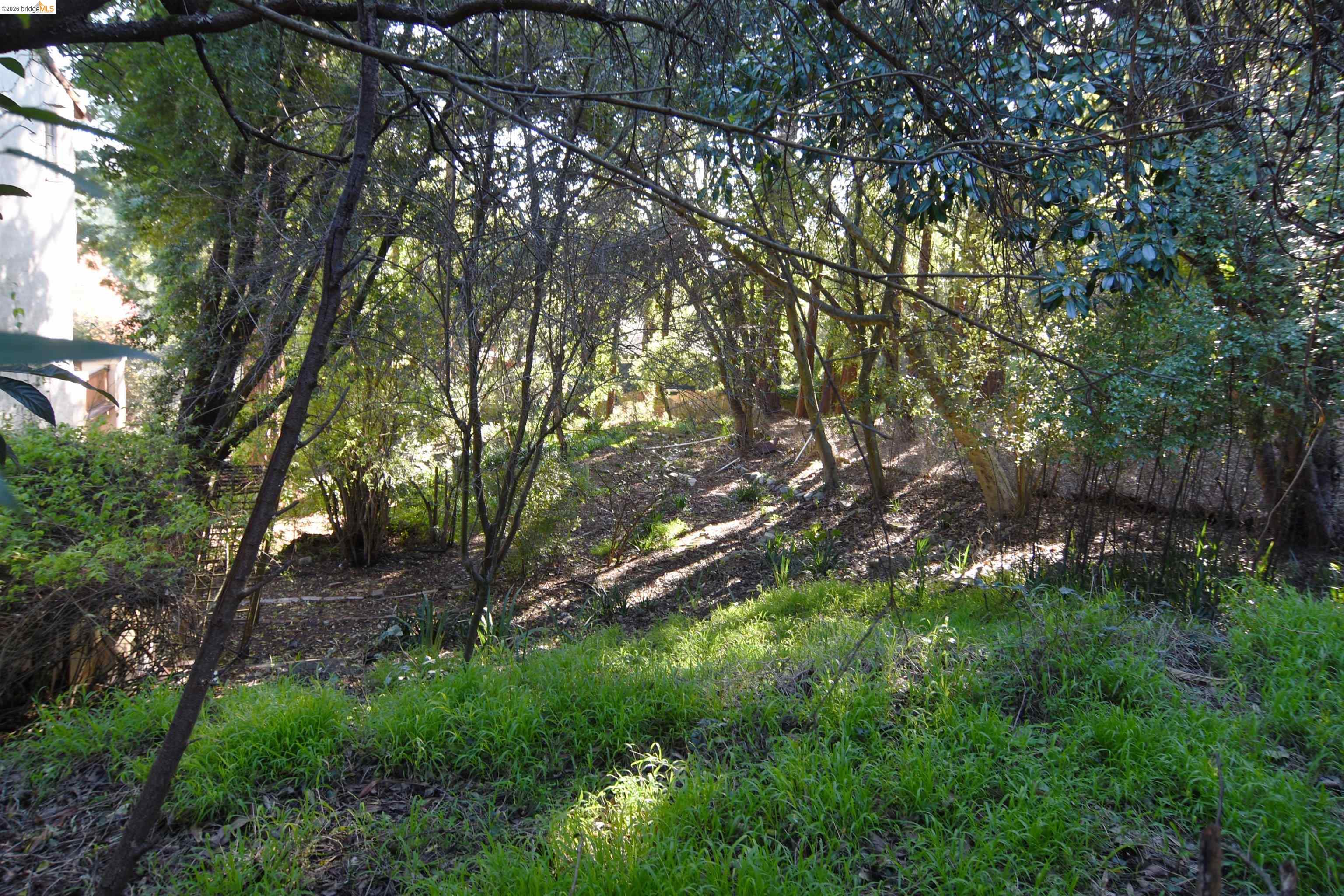 Detail Gallery Image 2 of 17 For 962 Regal Rd, Berkeley,  CA 94708 - – Beds | – Baths