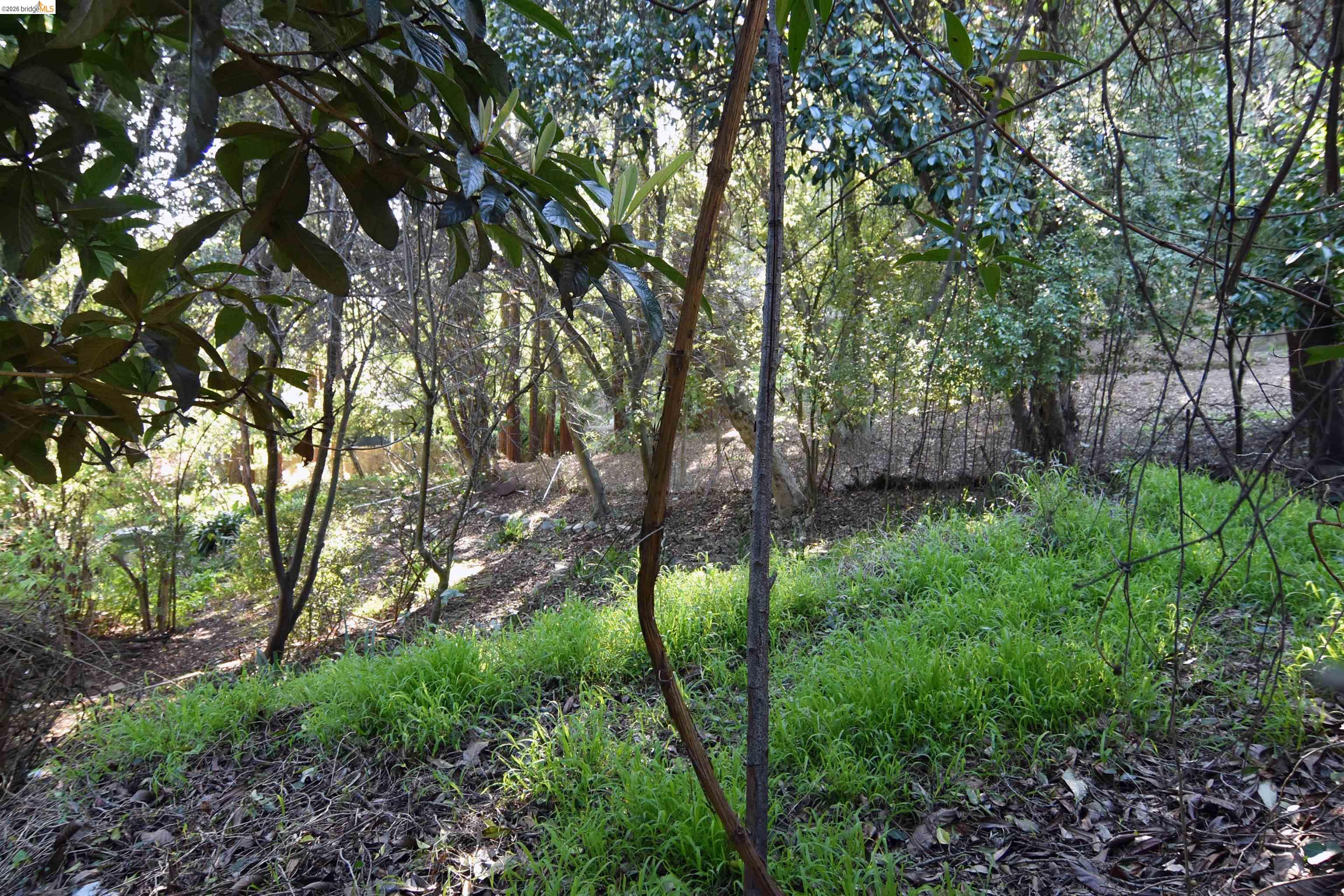 962 Regal Rd, Berkeley, CA, 94708