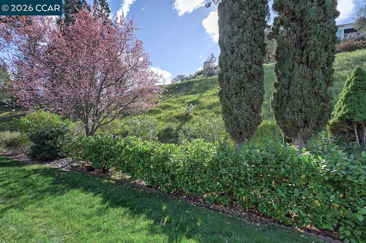 Photo #8: 41127410 Listing: Photo #8