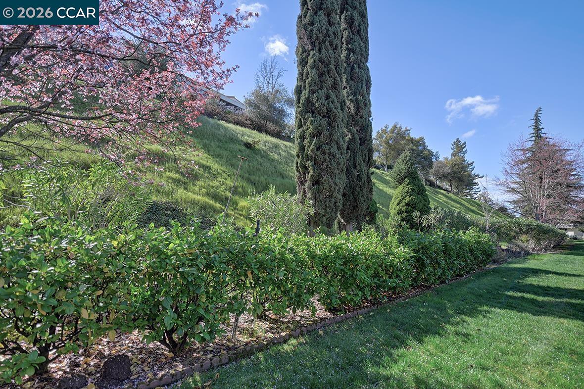 Photo #9: 41127410 Listing: Photo #9