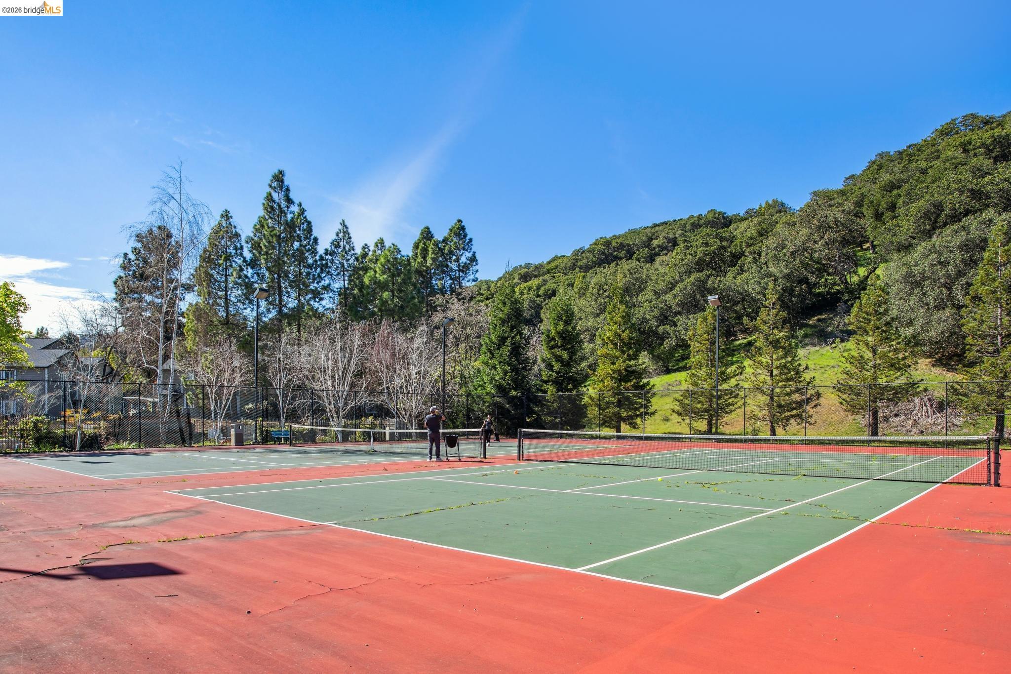 Photo #56: 41127423 Listing: Photo #56