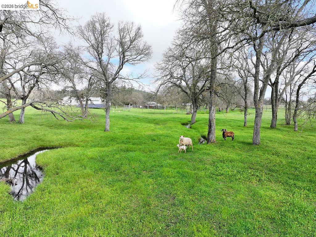 Detail Gallery Image 36 of 39 For 7550 Adams Ave, Valley Springs,  CA 95252 - 3 Beds | 1/1 Baths