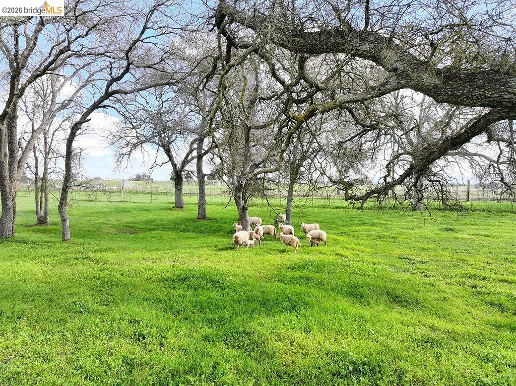 Detail Gallery Image 37 of 39 For 7550 Adams Ave, Valley Springs,  CA 95252 - 3 Beds | 1/1 Baths